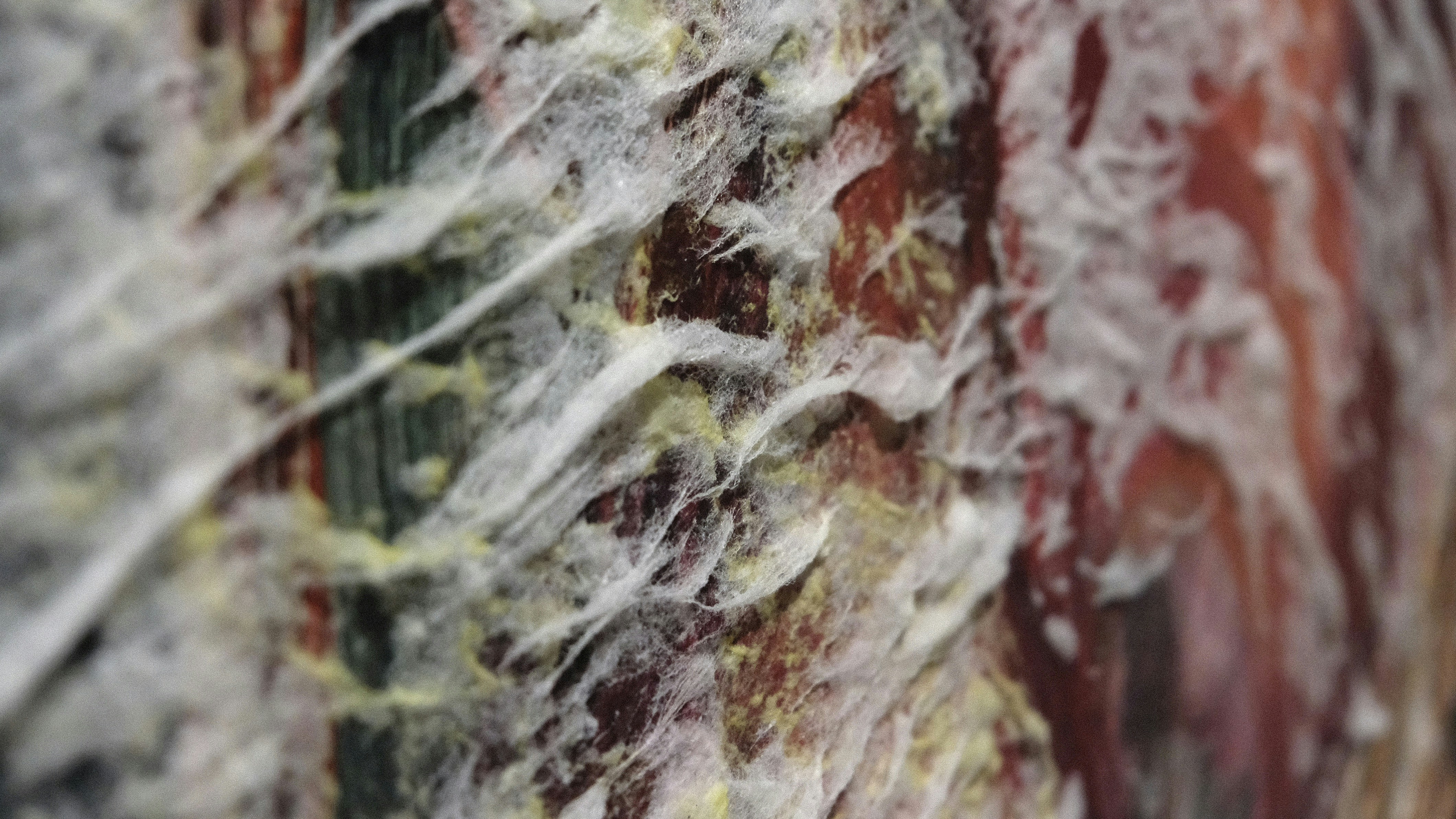 framed contemporary painting closeup