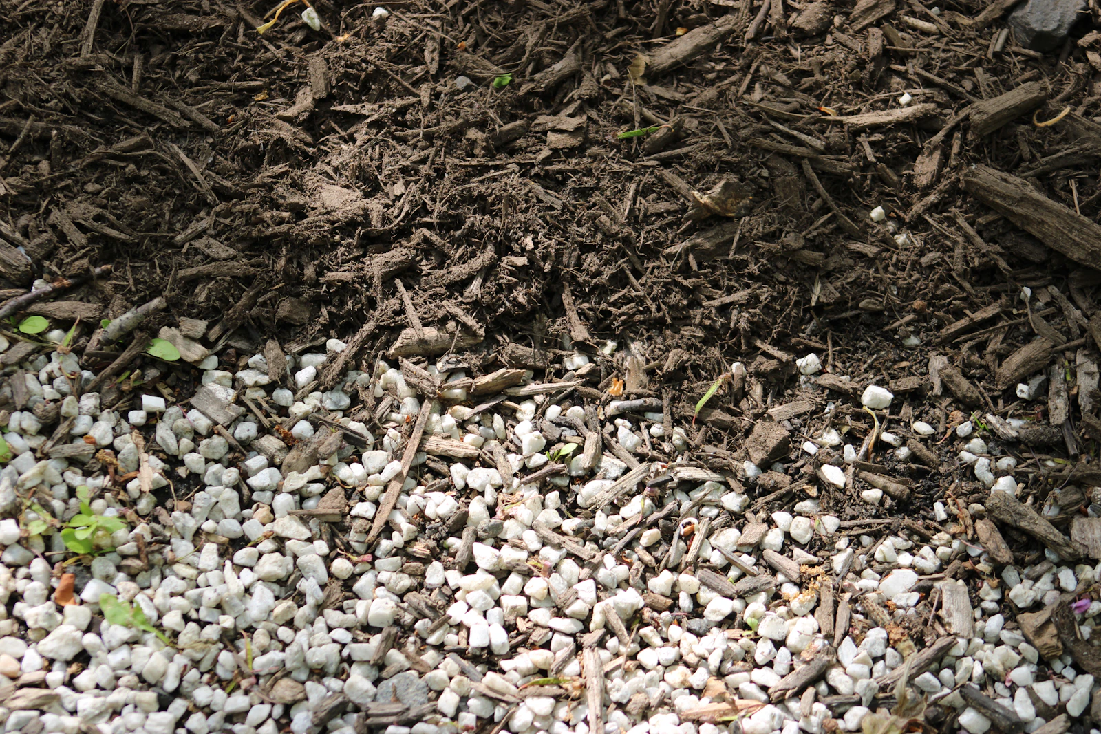 A clean edge between dark wood mulch and landscaping stone