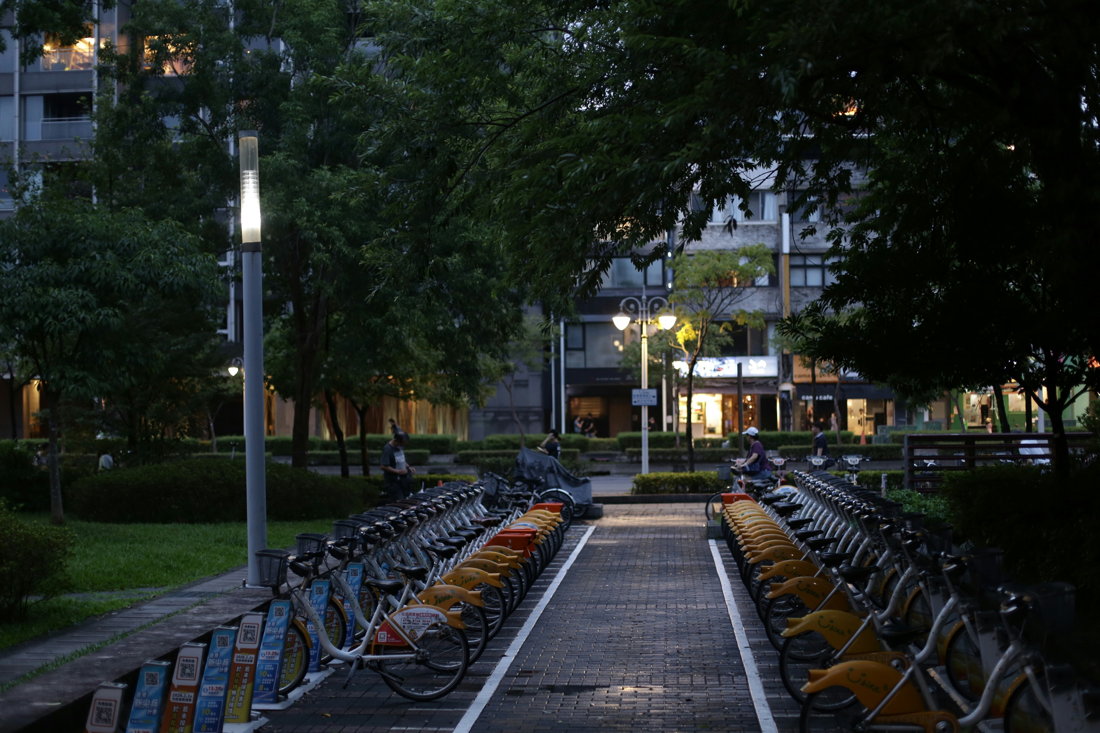Rows of yellow rental bicycles parked on a paved path in a city park