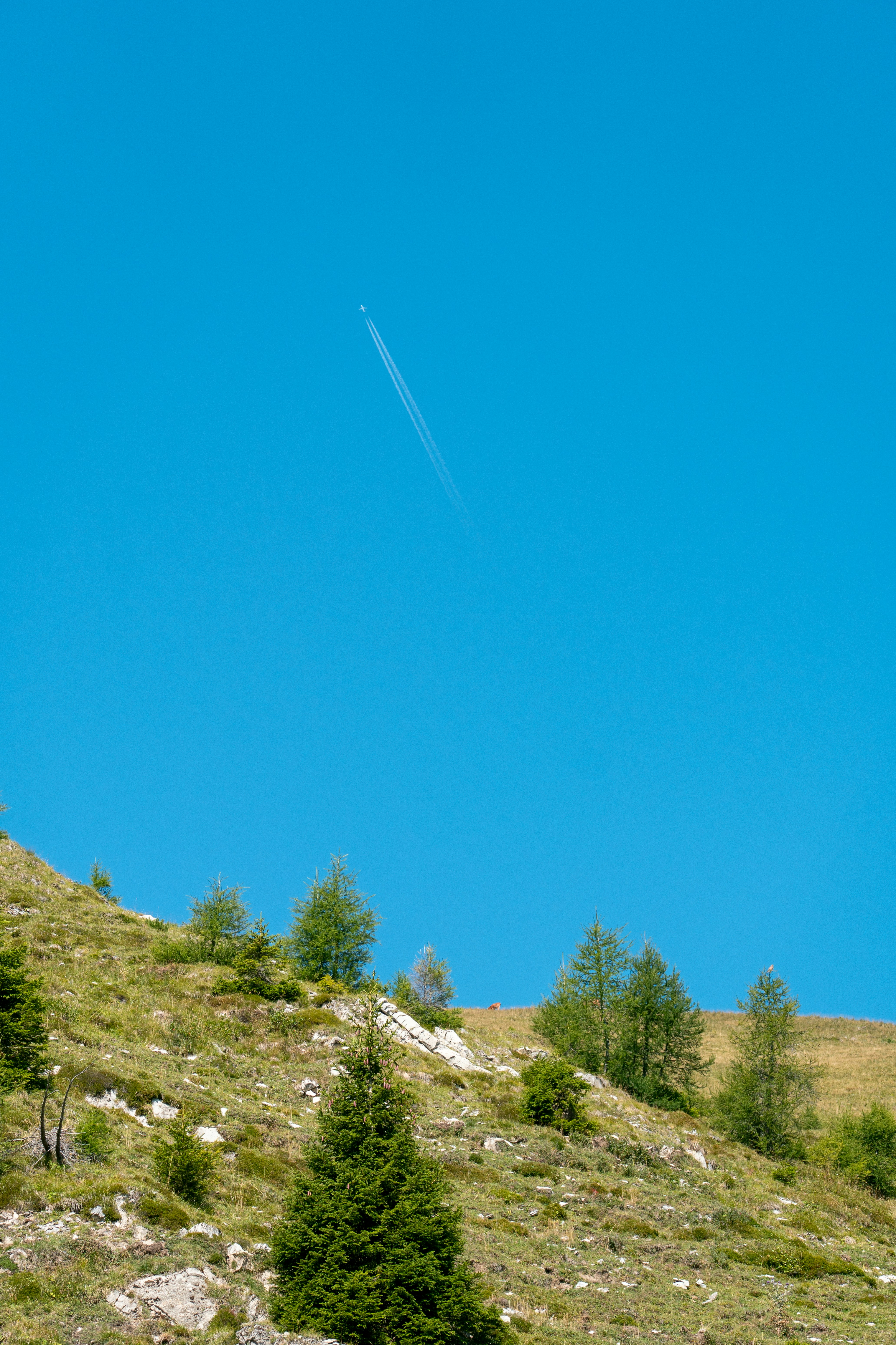An airplane leaving a contrail in a clear blue sky above a grassy mountain slope
