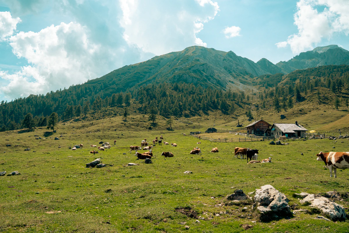 Rural home in a green mountain pasture