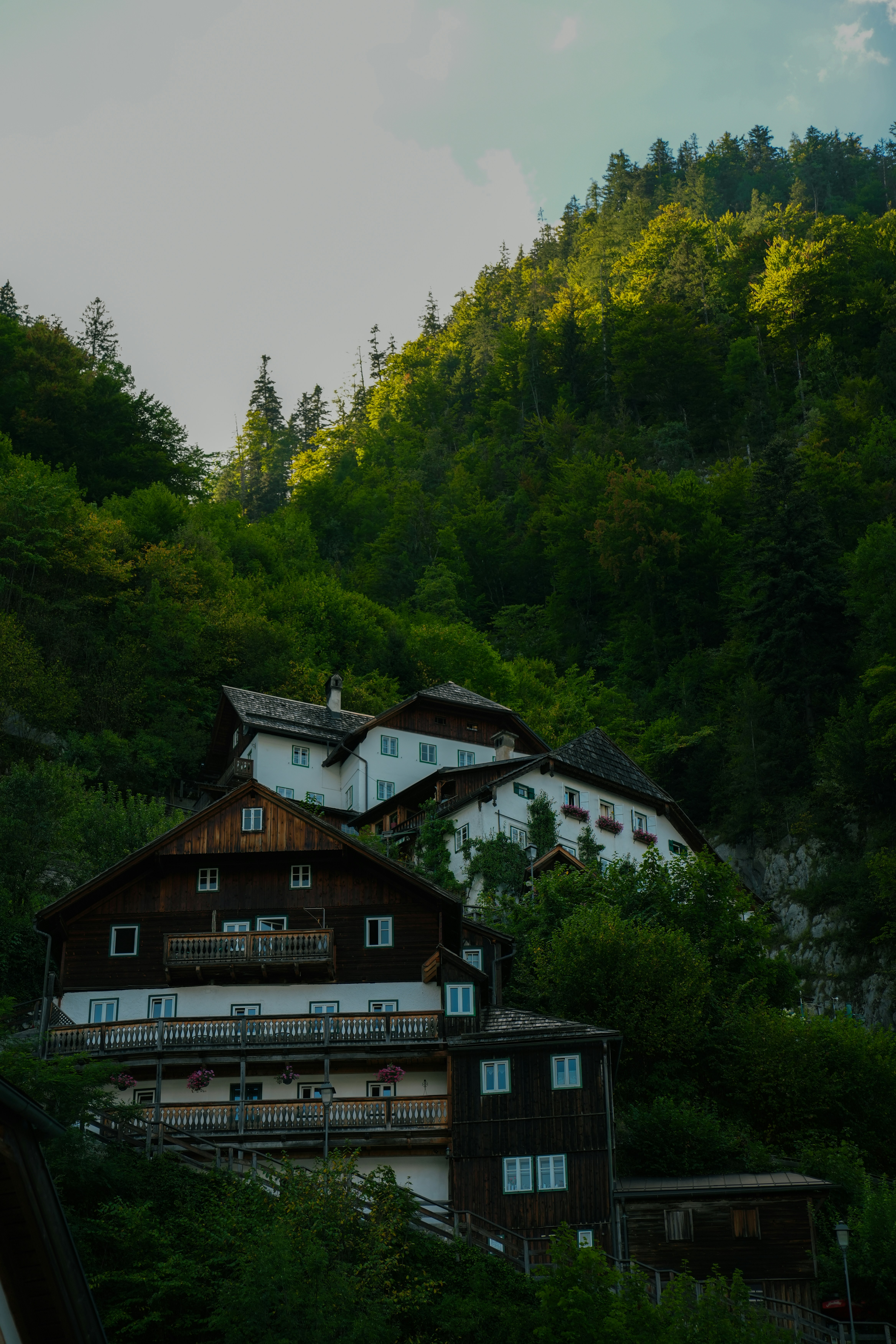 Traditional wooden houses nestled on a steep forested hillside in the mountains