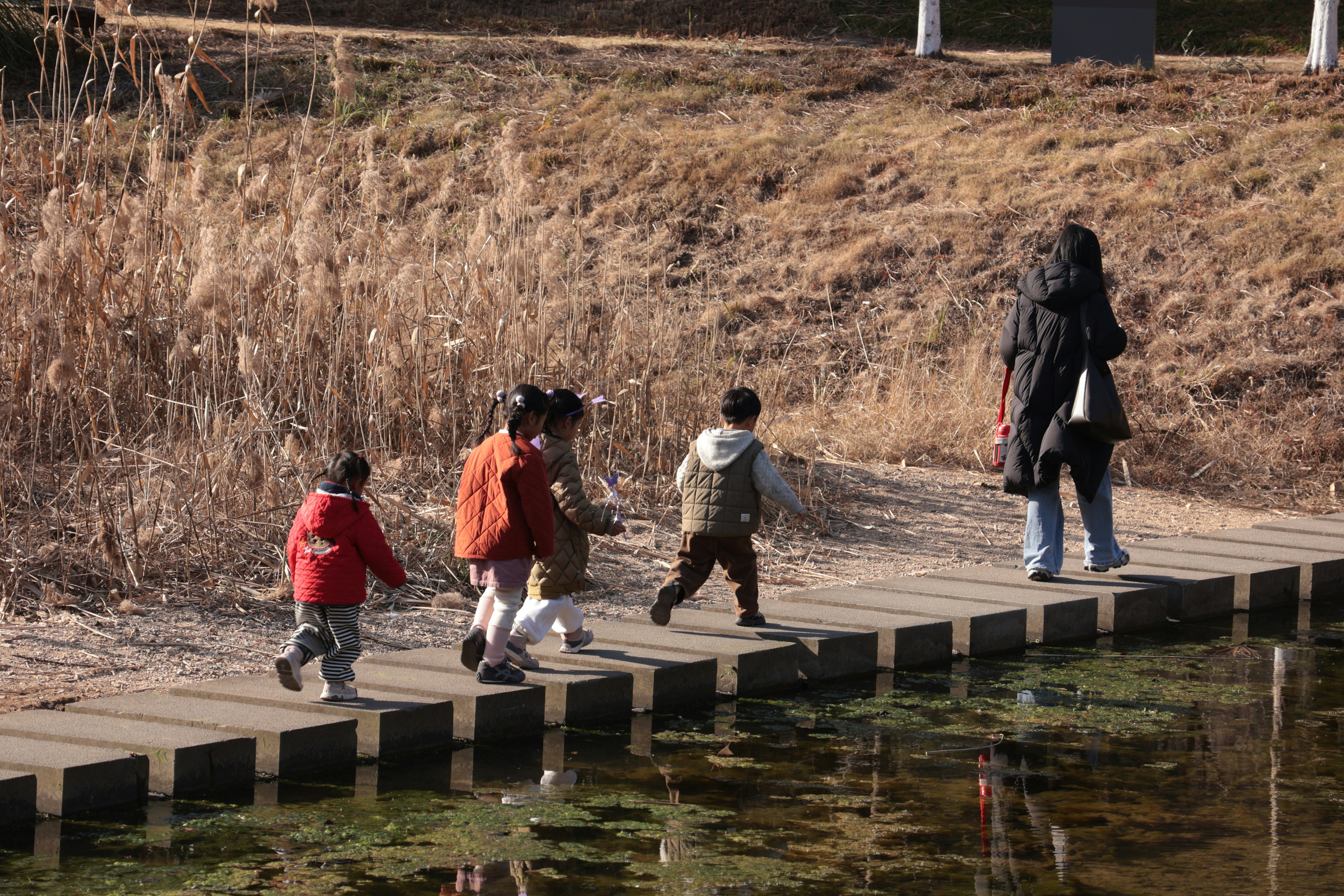 An adult and four children walking across stone stepping stones in a park