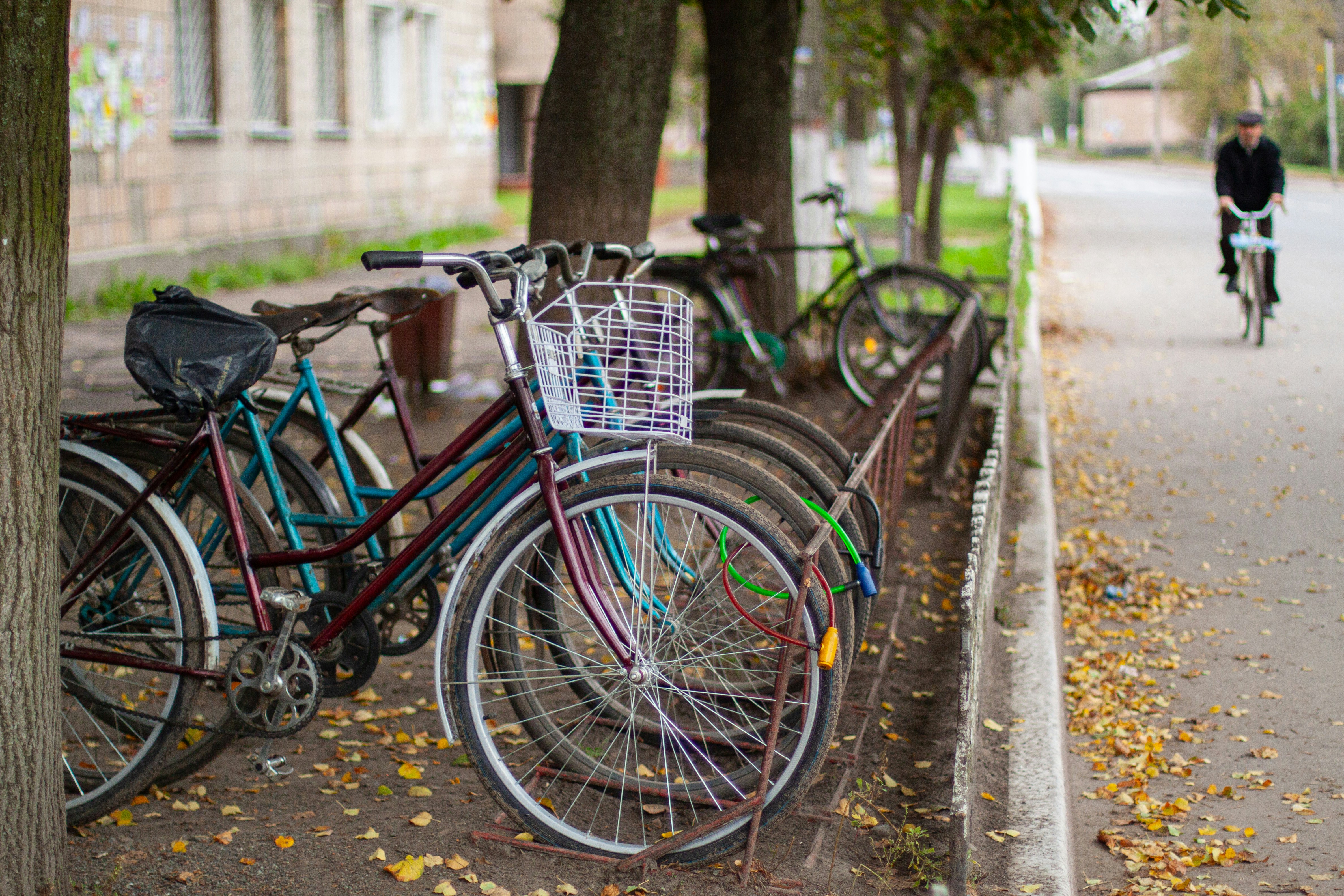 Bicycles parked in a rack beside trees