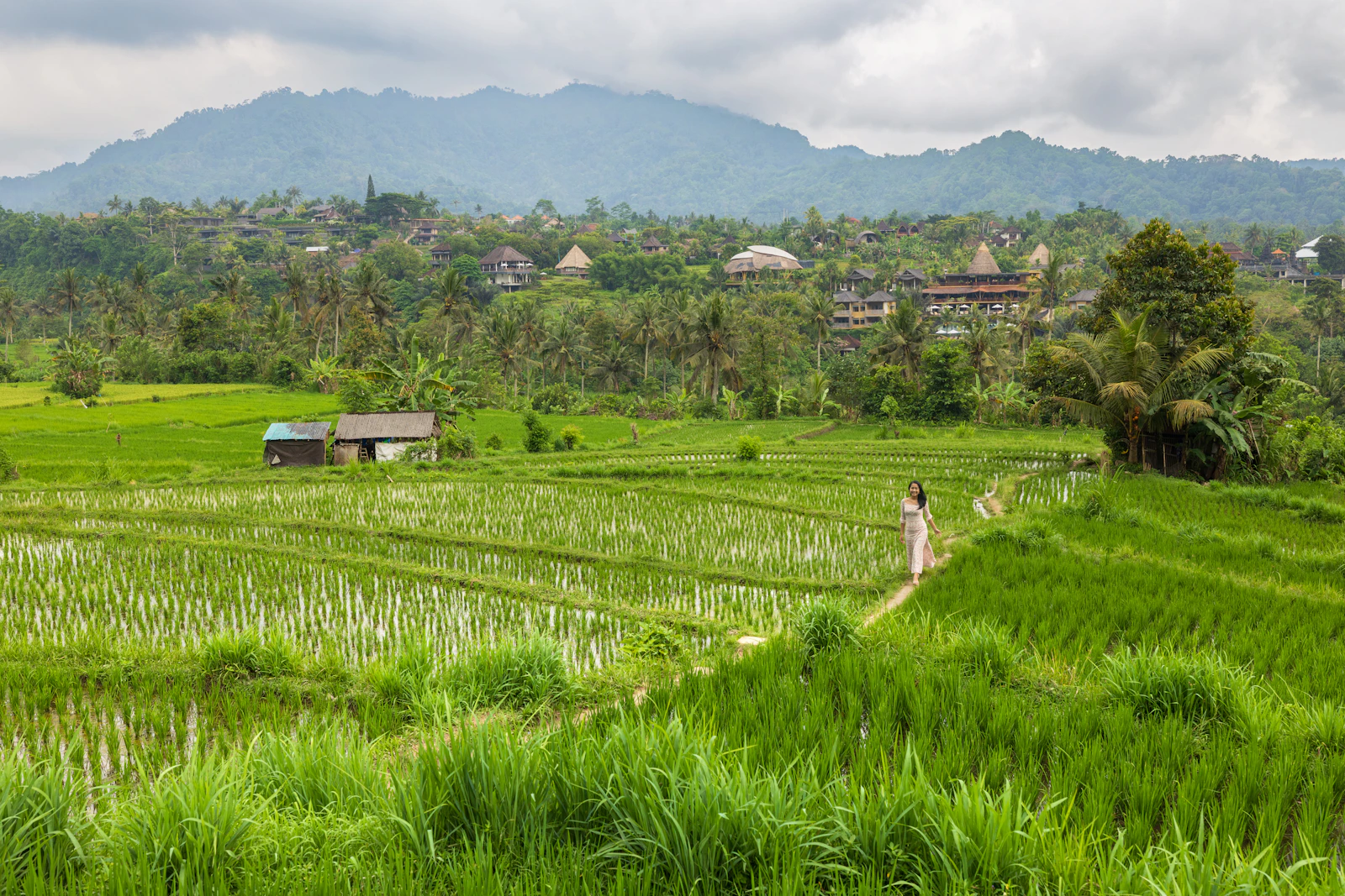 A path through Sidemen rice terraces in Bali