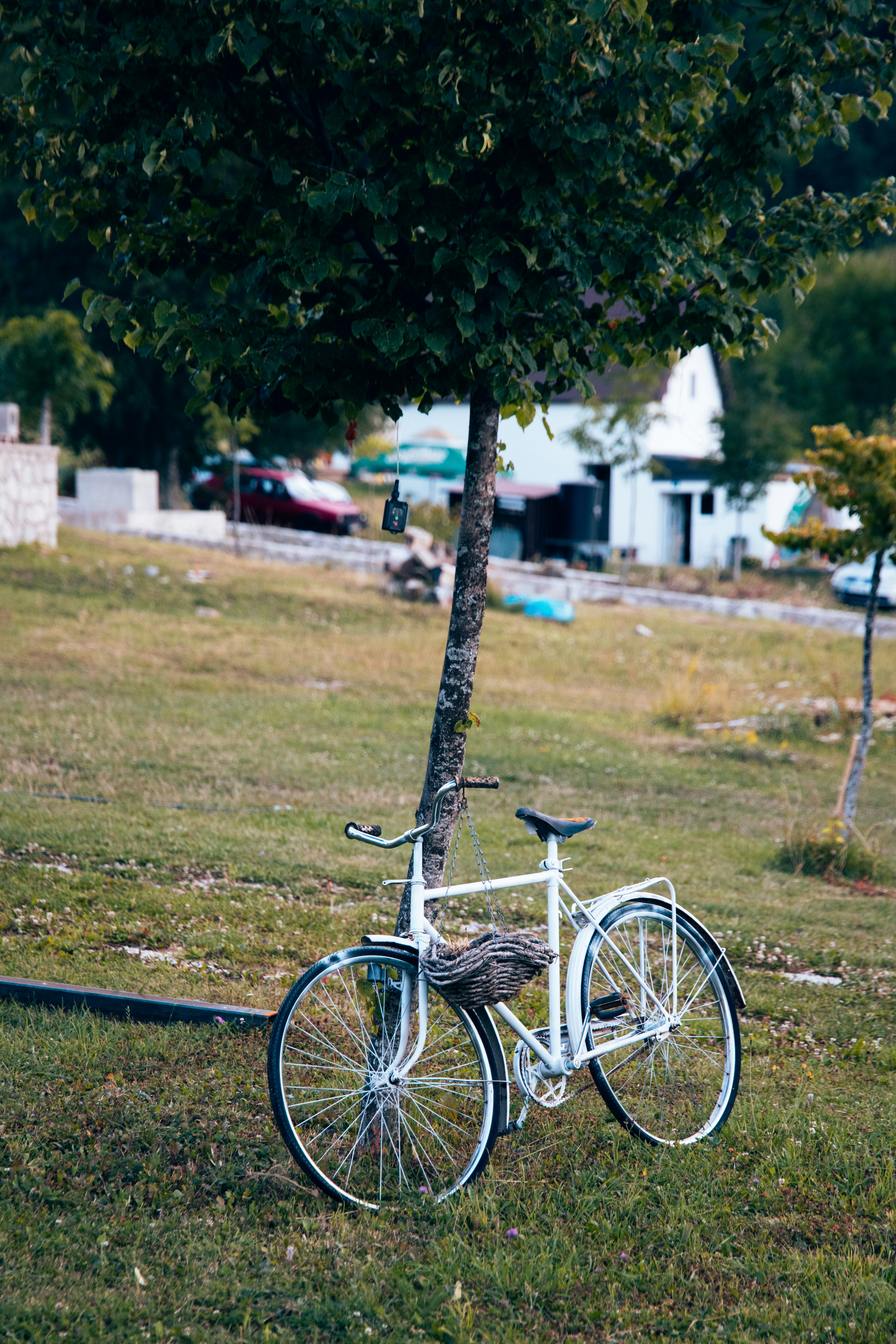 白い自転車に編み込まれたかごが木にもたれかかっている