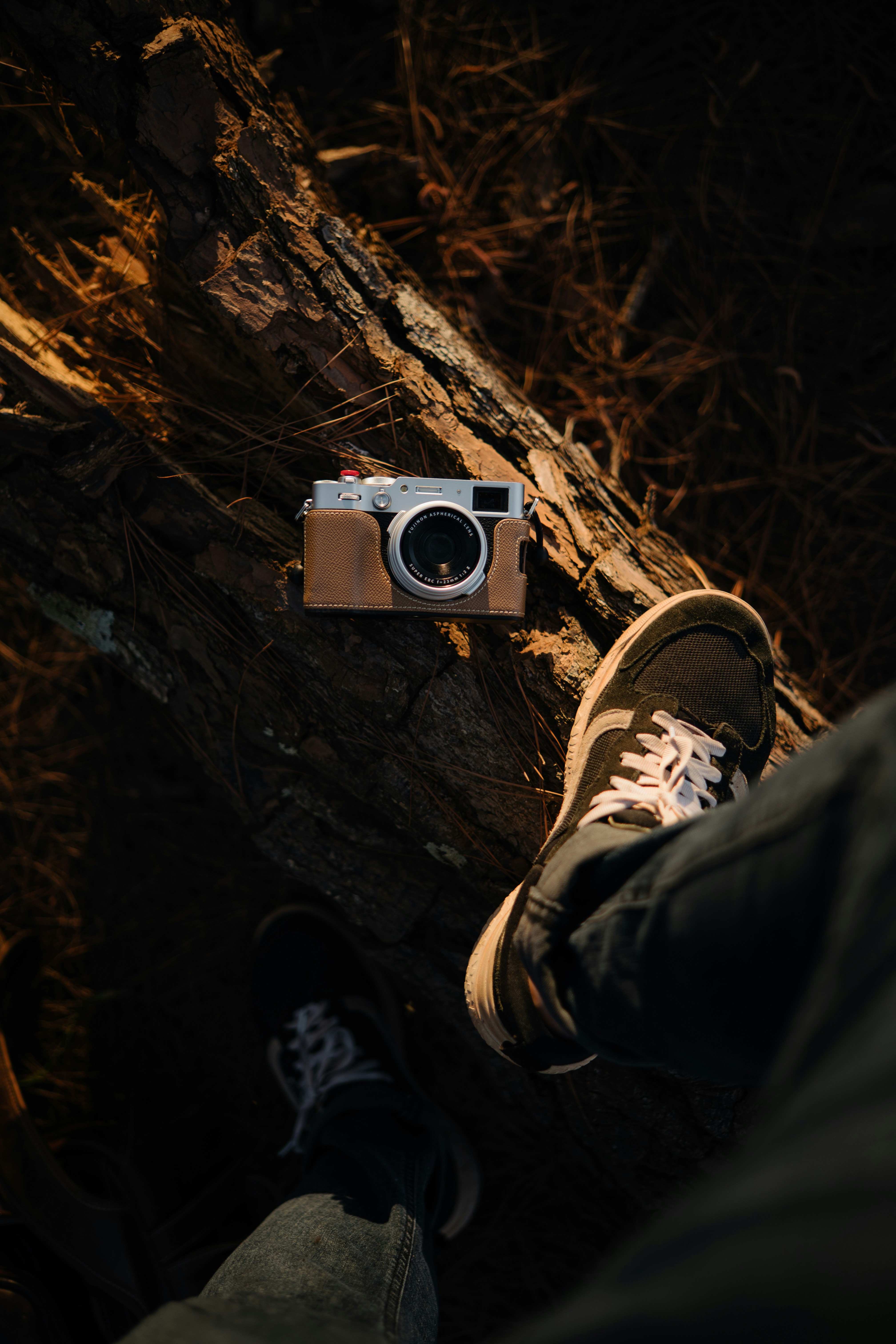 A digital camera in a tan leather case resting on a fallen tree log