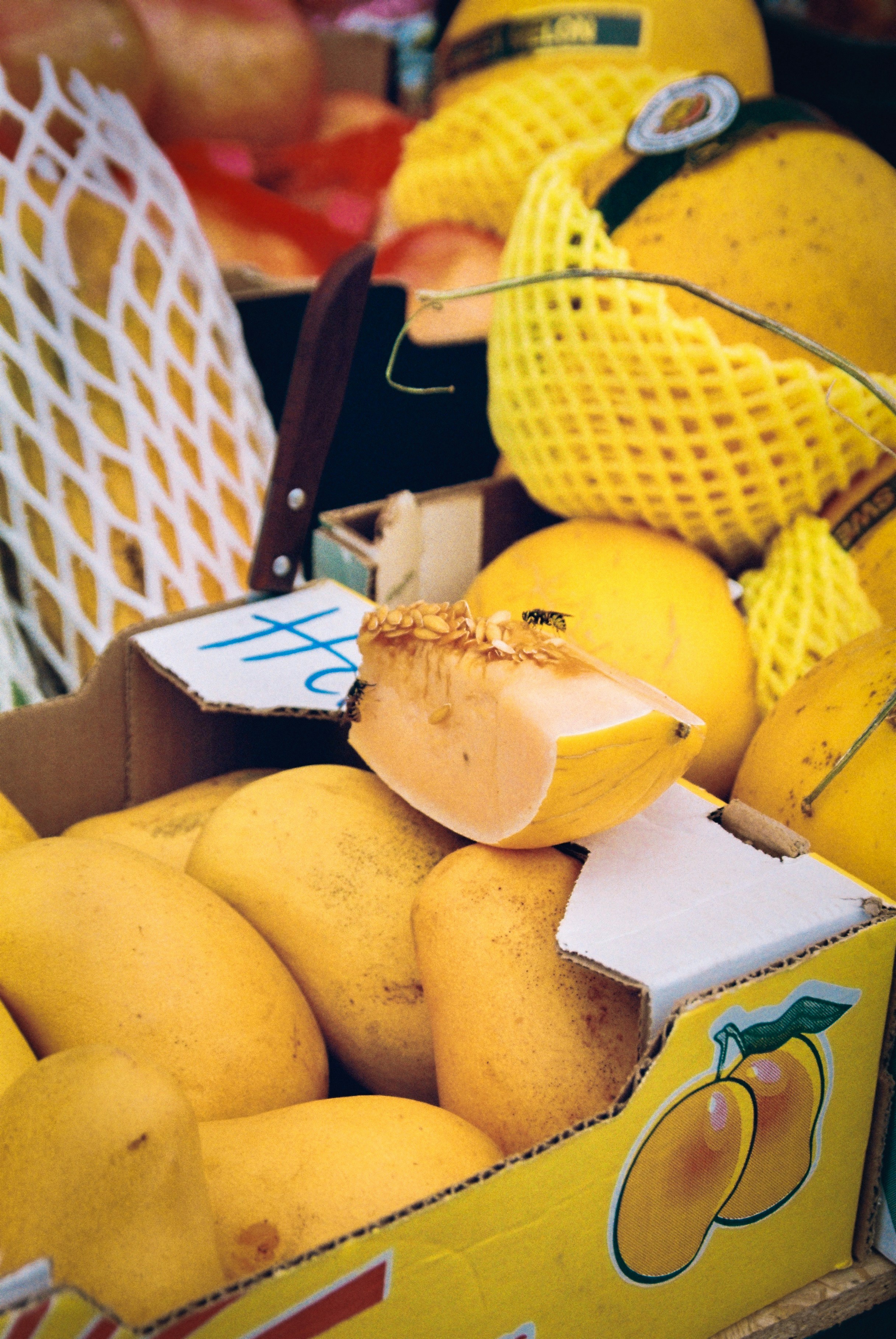 A wasp on a slice of melon resting in a box of yellow mangoes