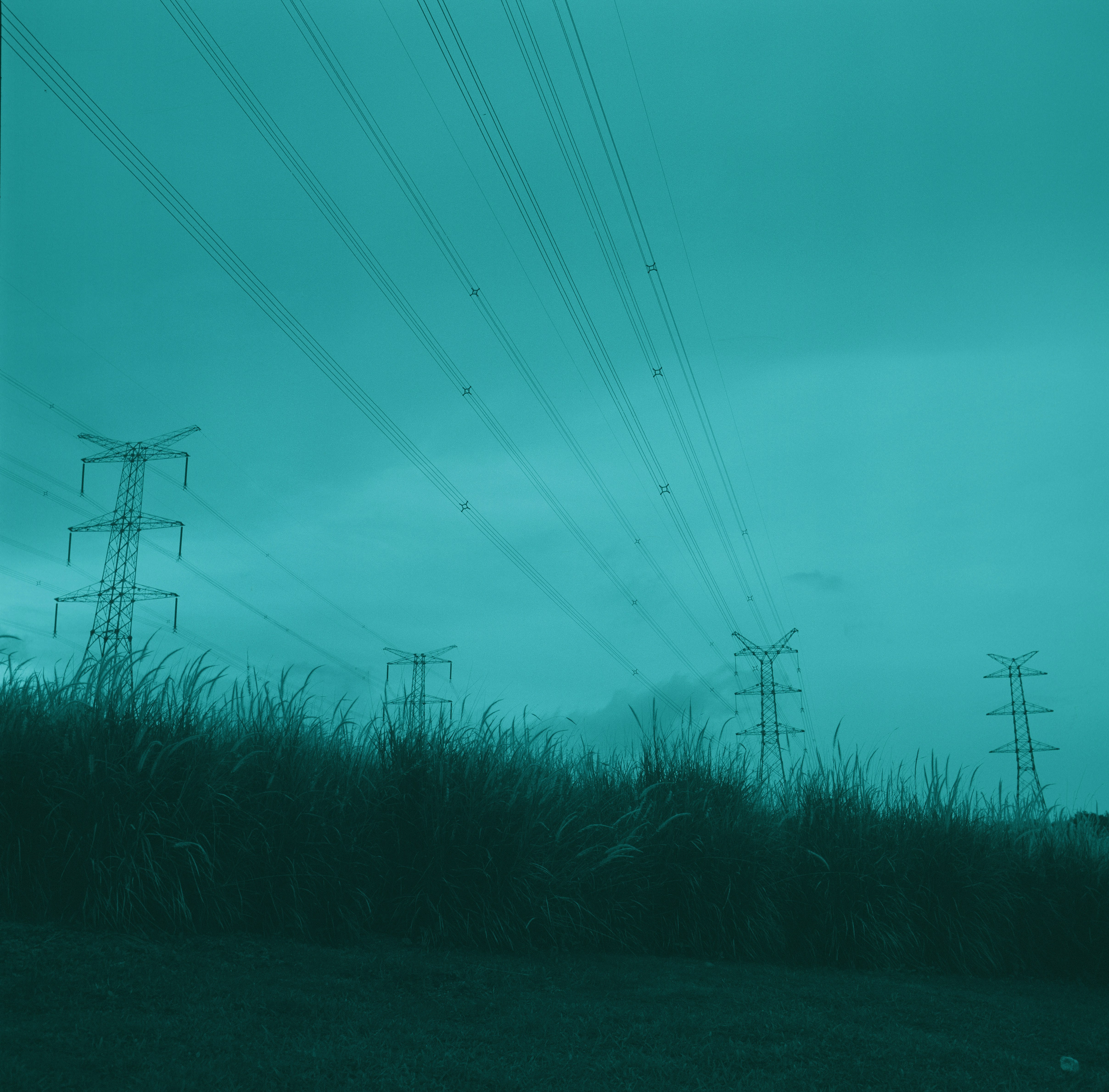 Electricity pylons and power lines above a field of tall grass
