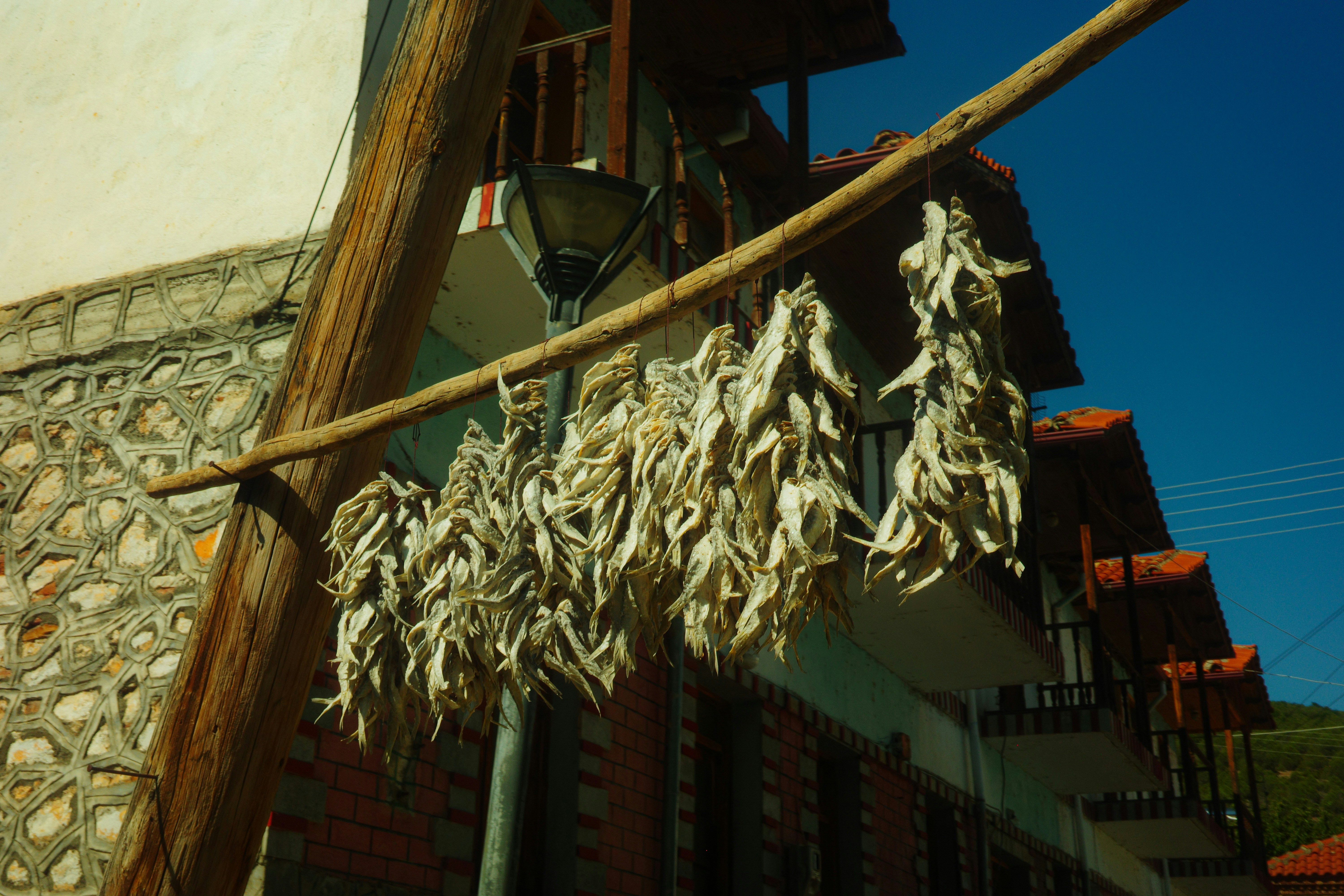 Bundles of dried fish hanging from a wooden pole against a building