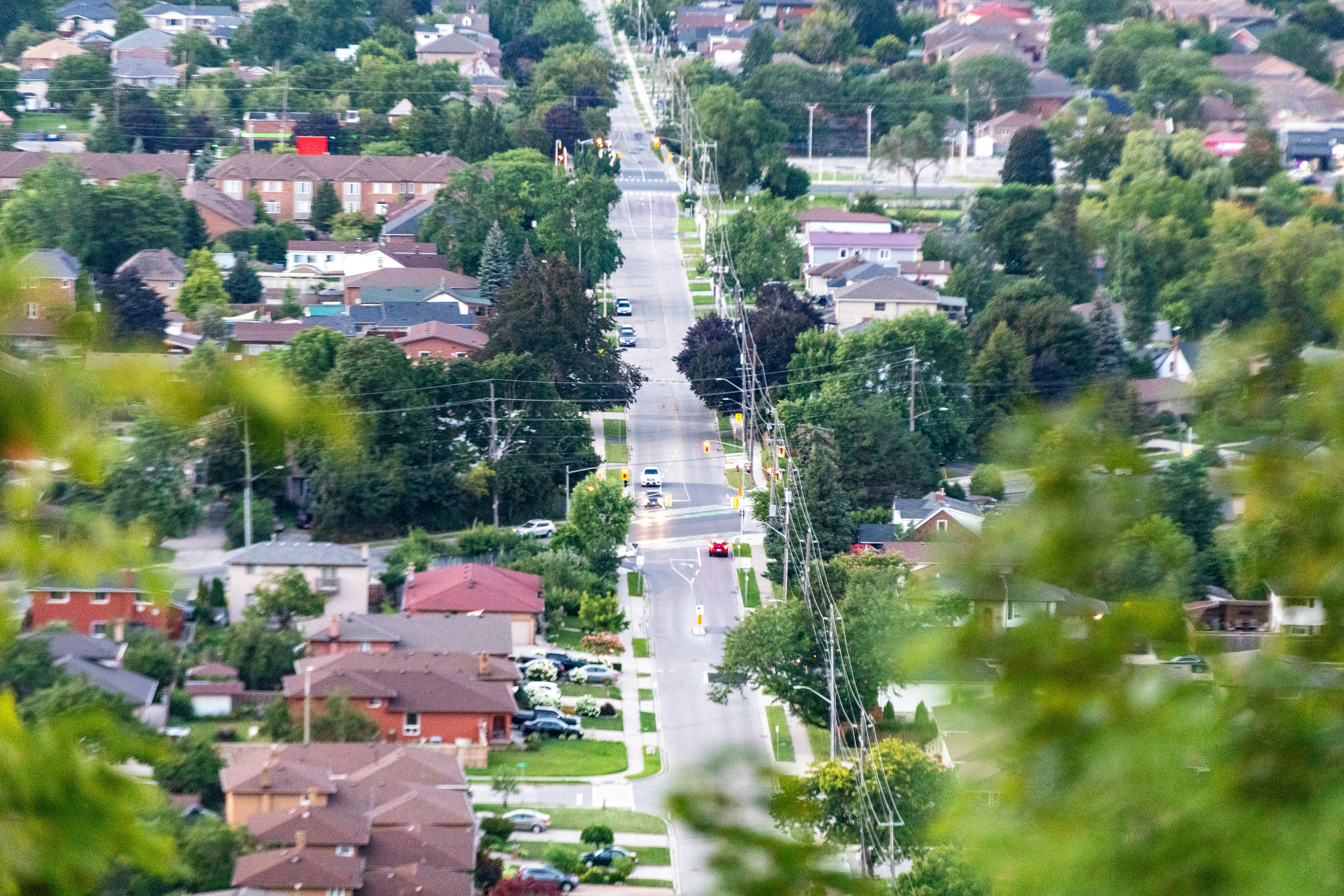 Elevated view of a quiet suburban street lined with houses and trees