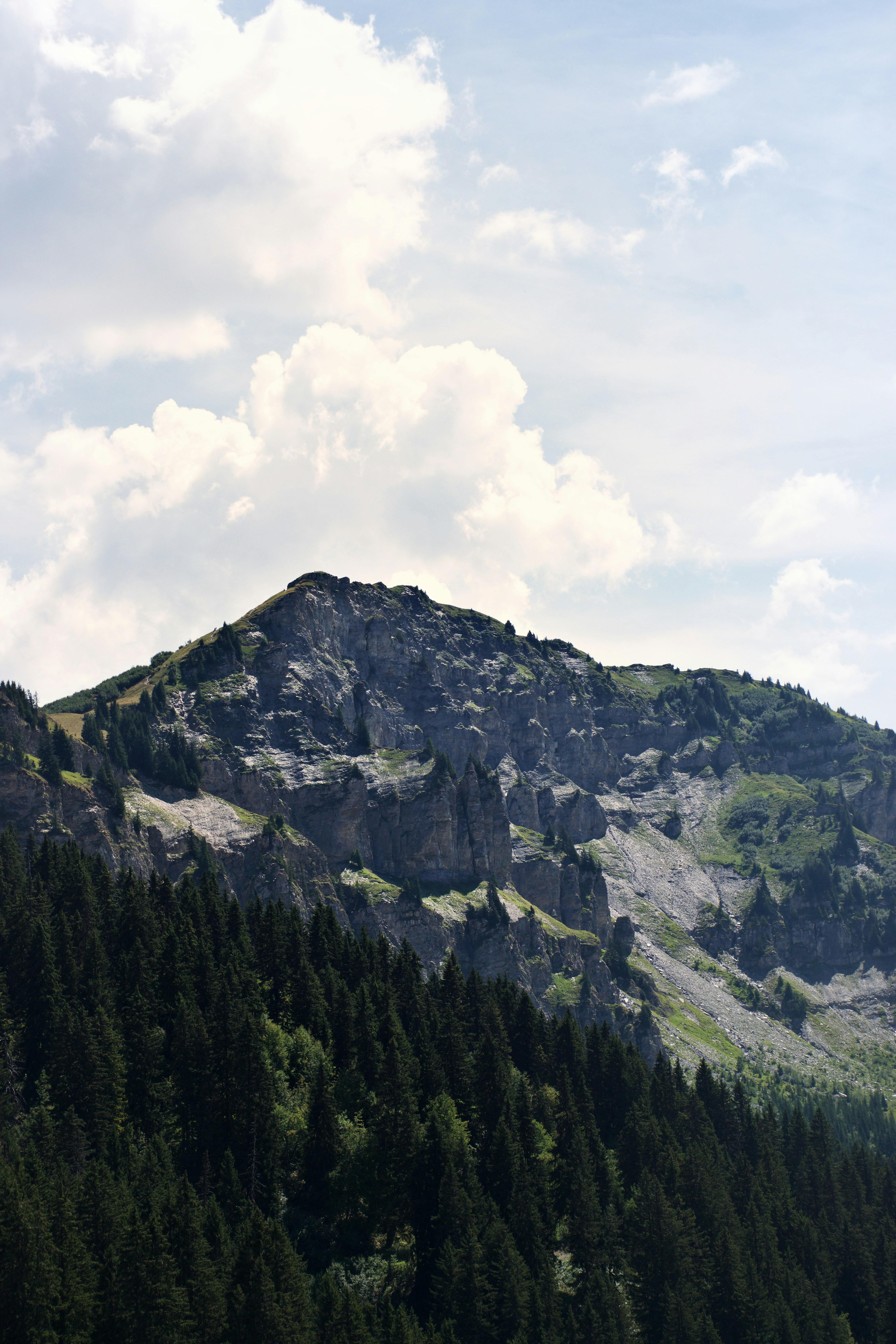 A rocky mountain peak rising above a dense forest of evergreen trees