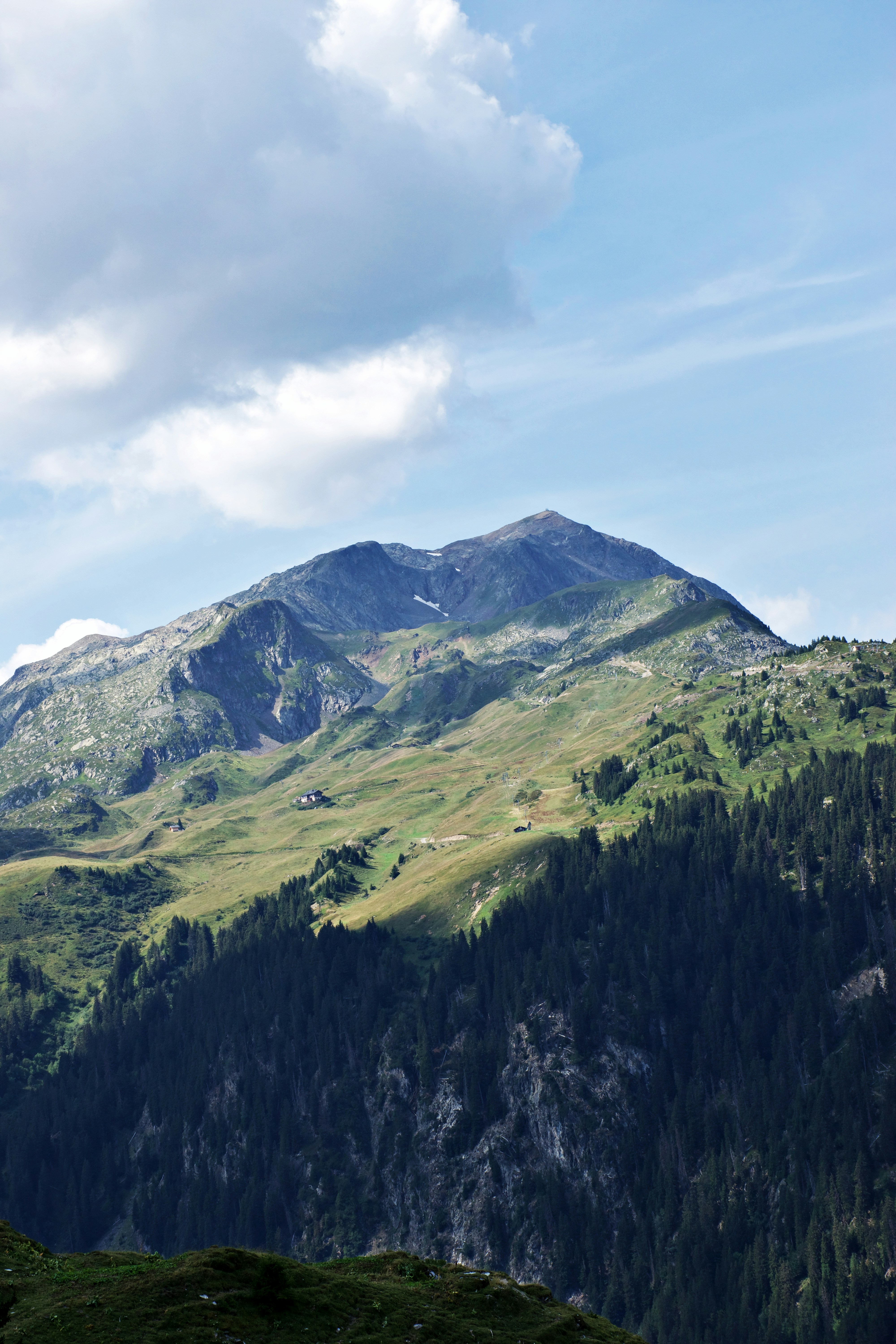 A green mountain slope with pine forests and a rocky peak under clouds