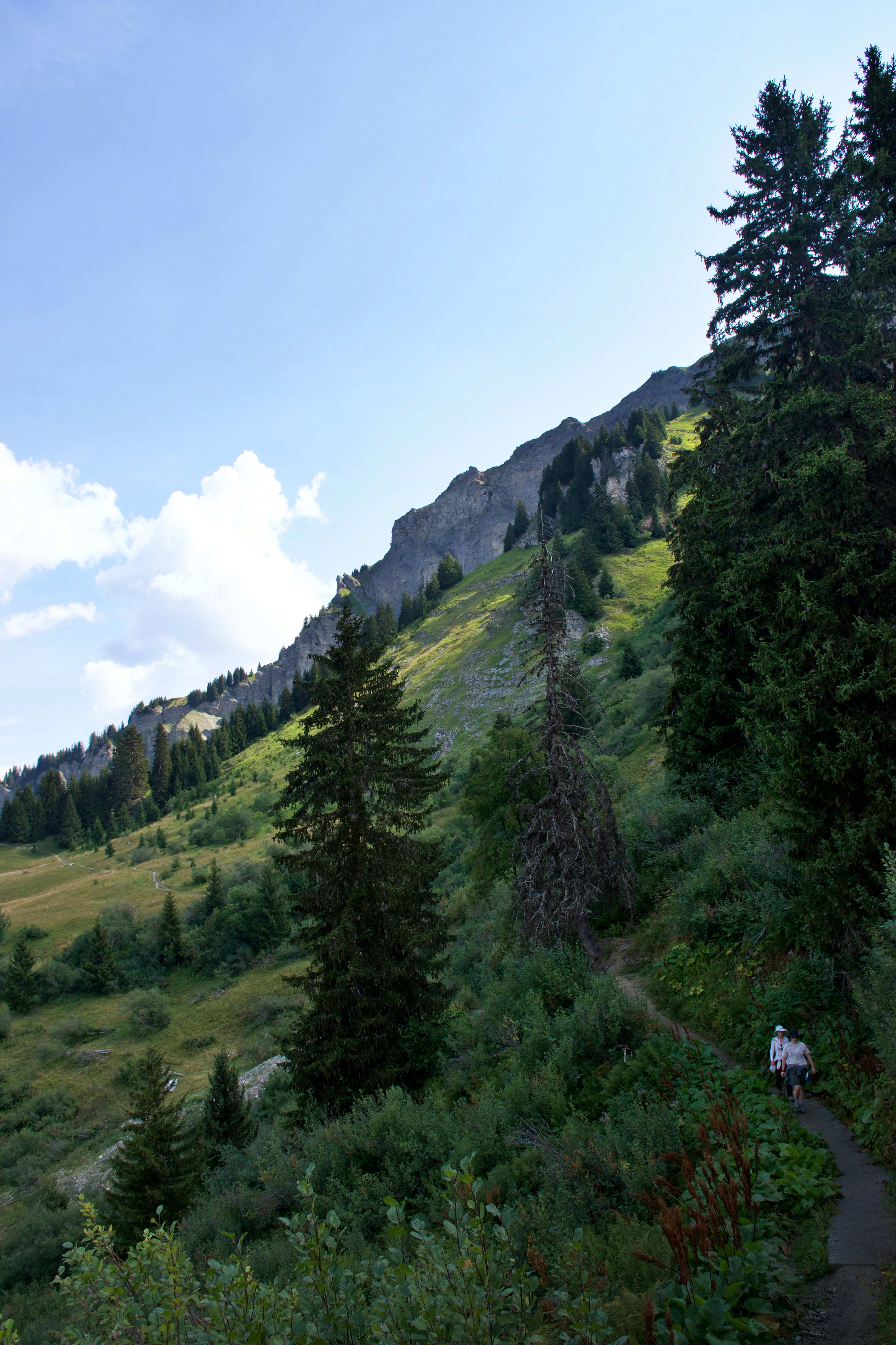 Two people walking on a dirt path through a green mountain landscape