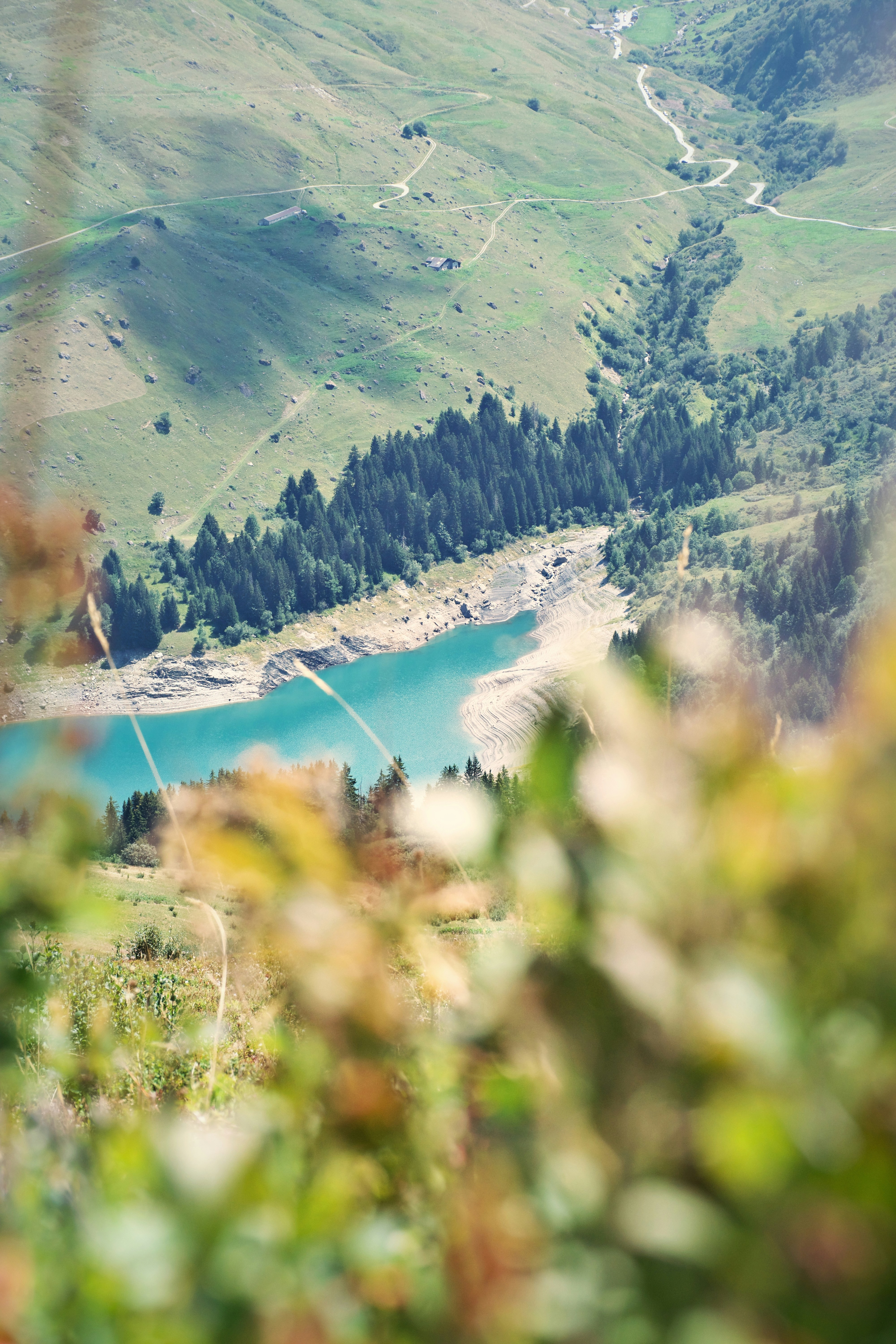 A turquoise lake surrounded by pine trees and green mountain slopes