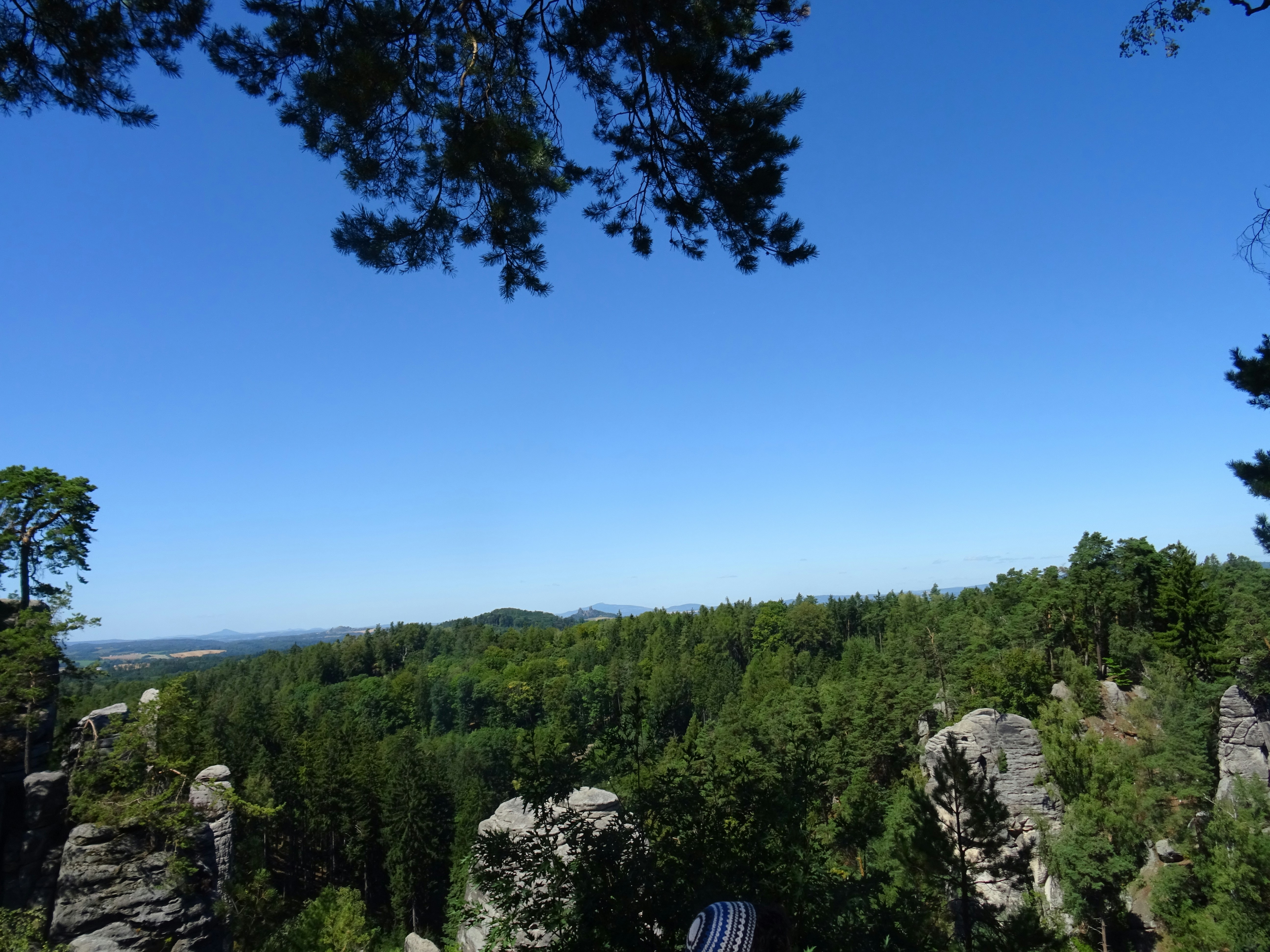 A dense forest with rocky outcrops under a clear blue sky