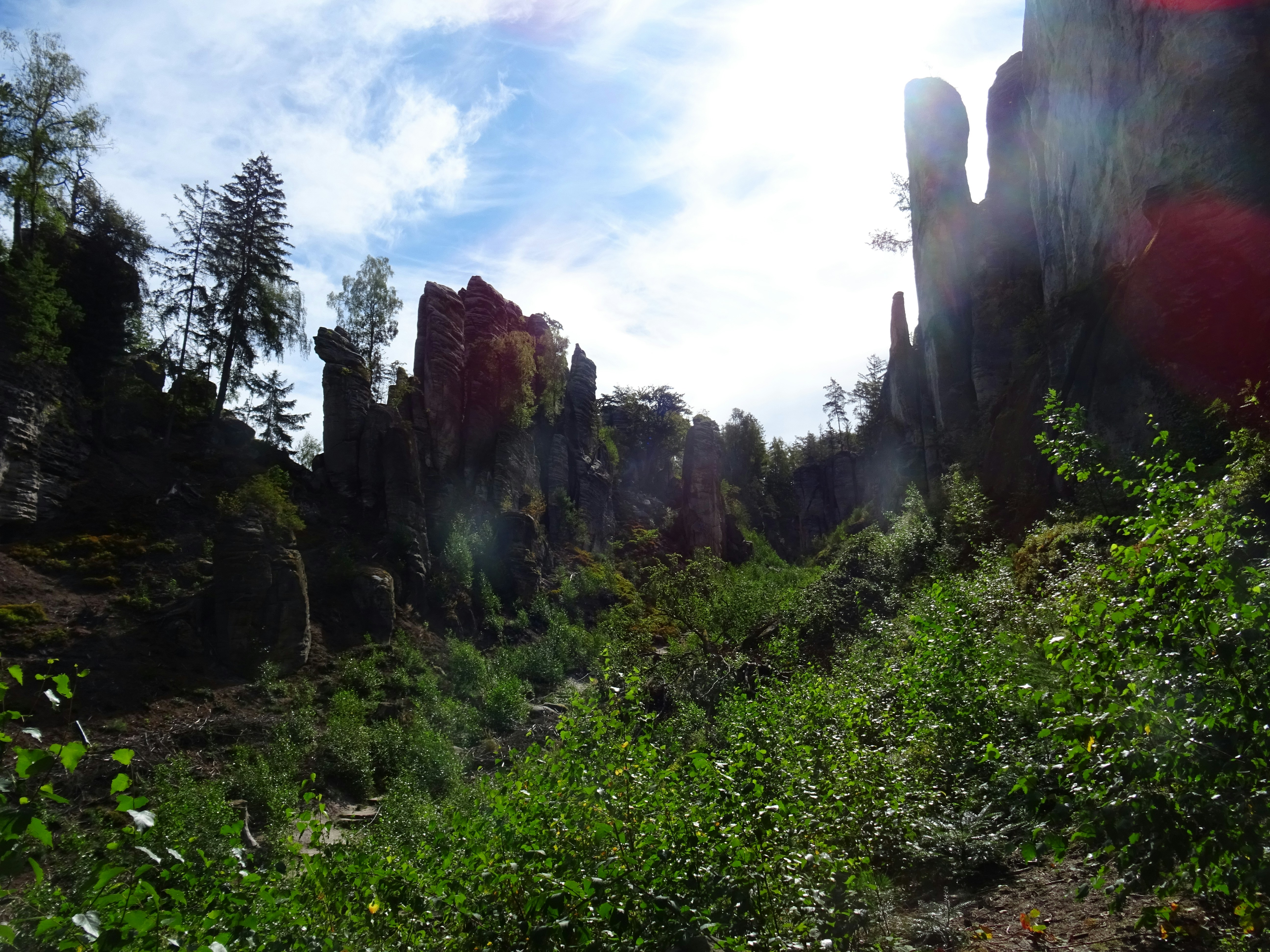 Tall sandstone rock formations rising above a lush green forest valley