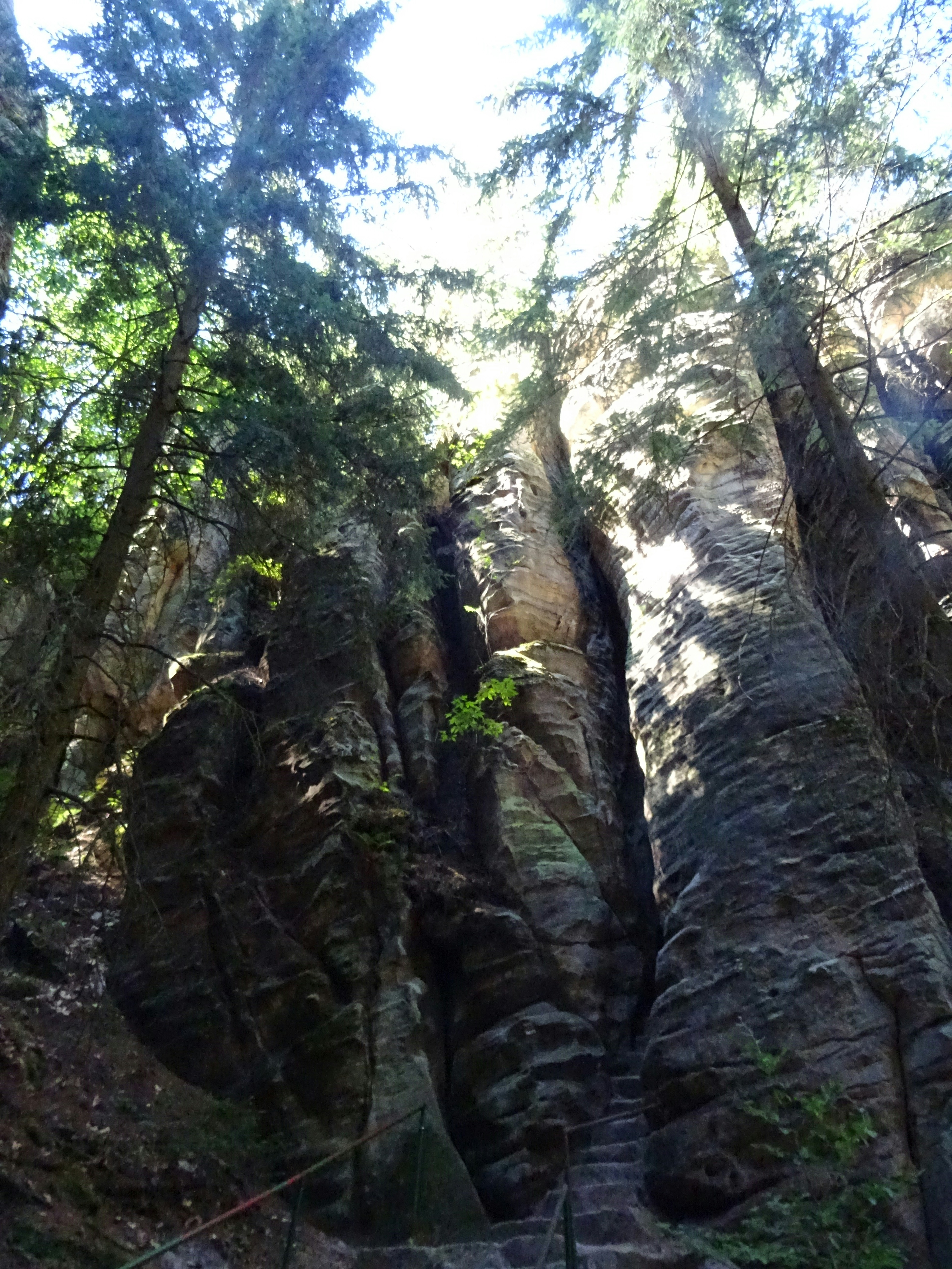 Tall sandstone rock formations rising between evergreen trees in a forest