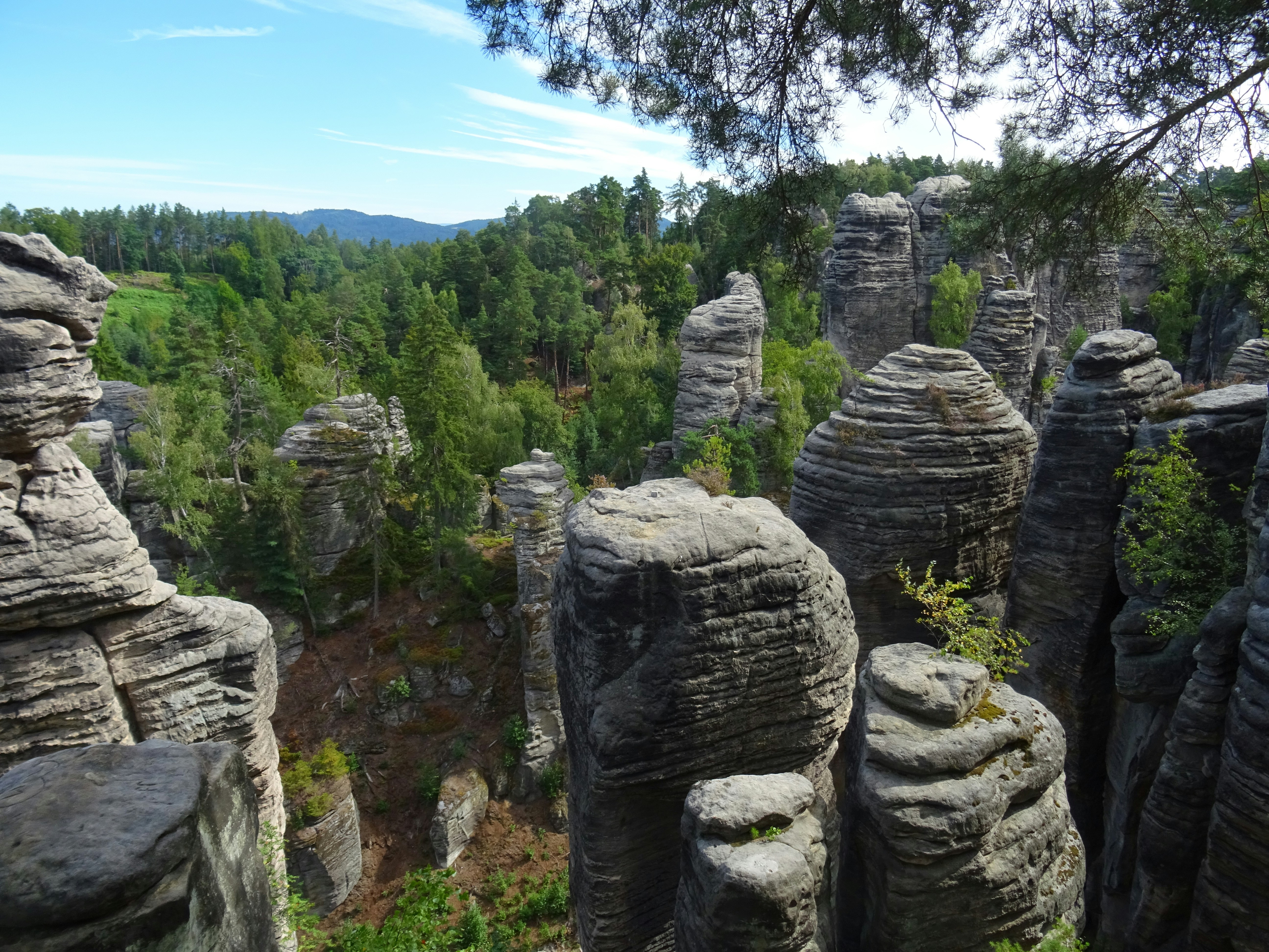 Tall sandstone rock formations rising above a dense green forest under a blue sky