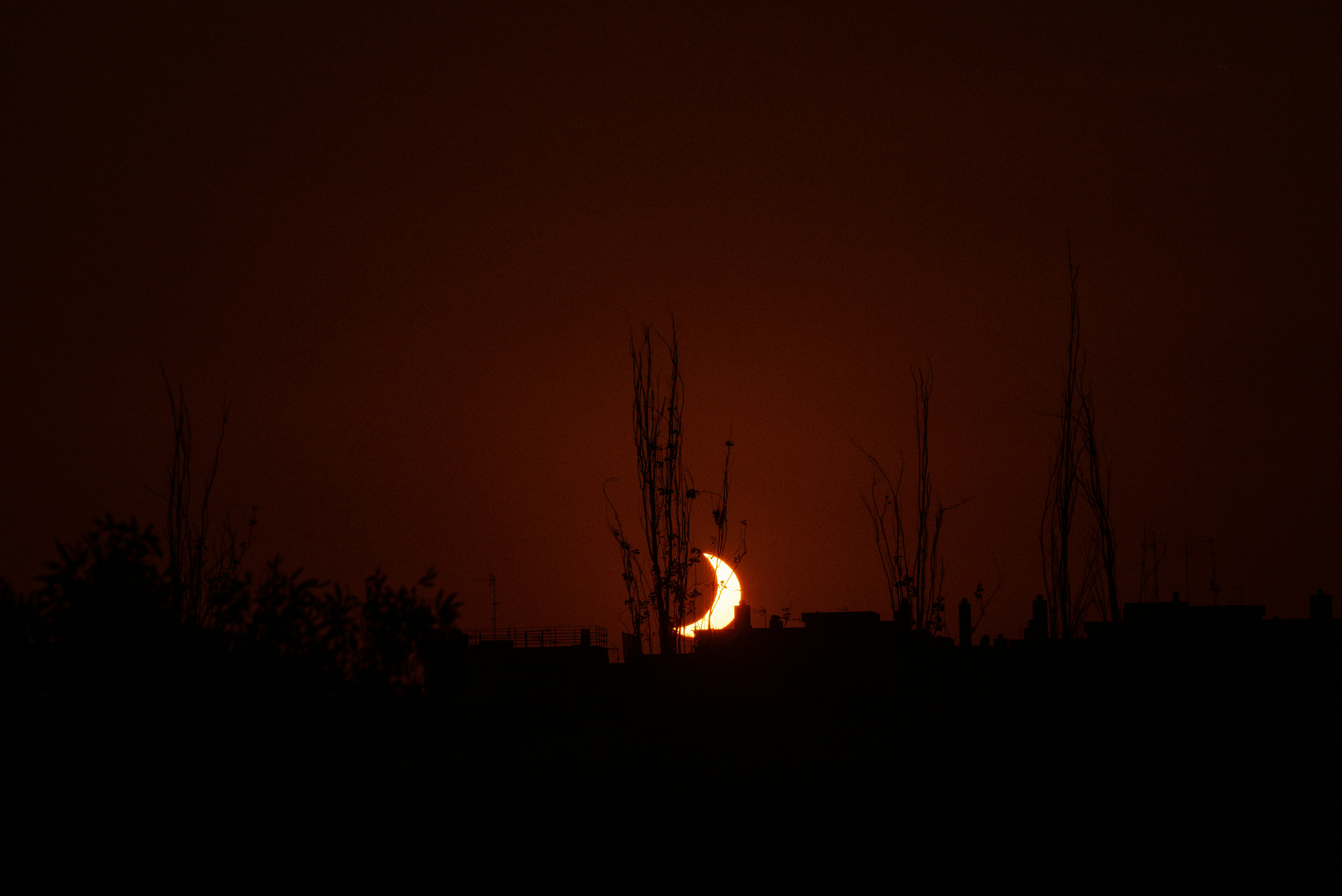 A crescent moon rising behind dark silhouettes of trees and city buildings