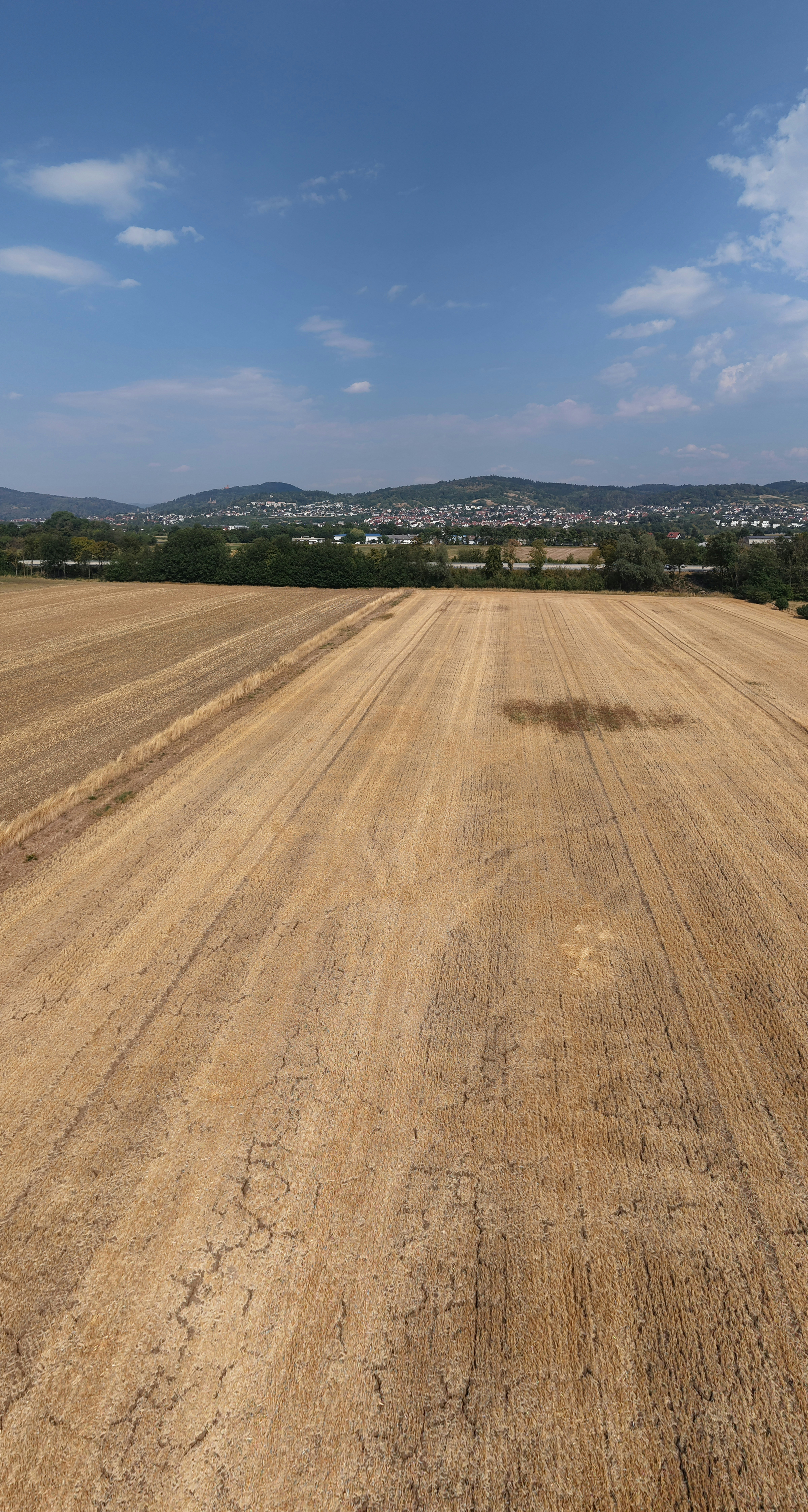 A harvested golden wheat field under a blue sky with distant hills