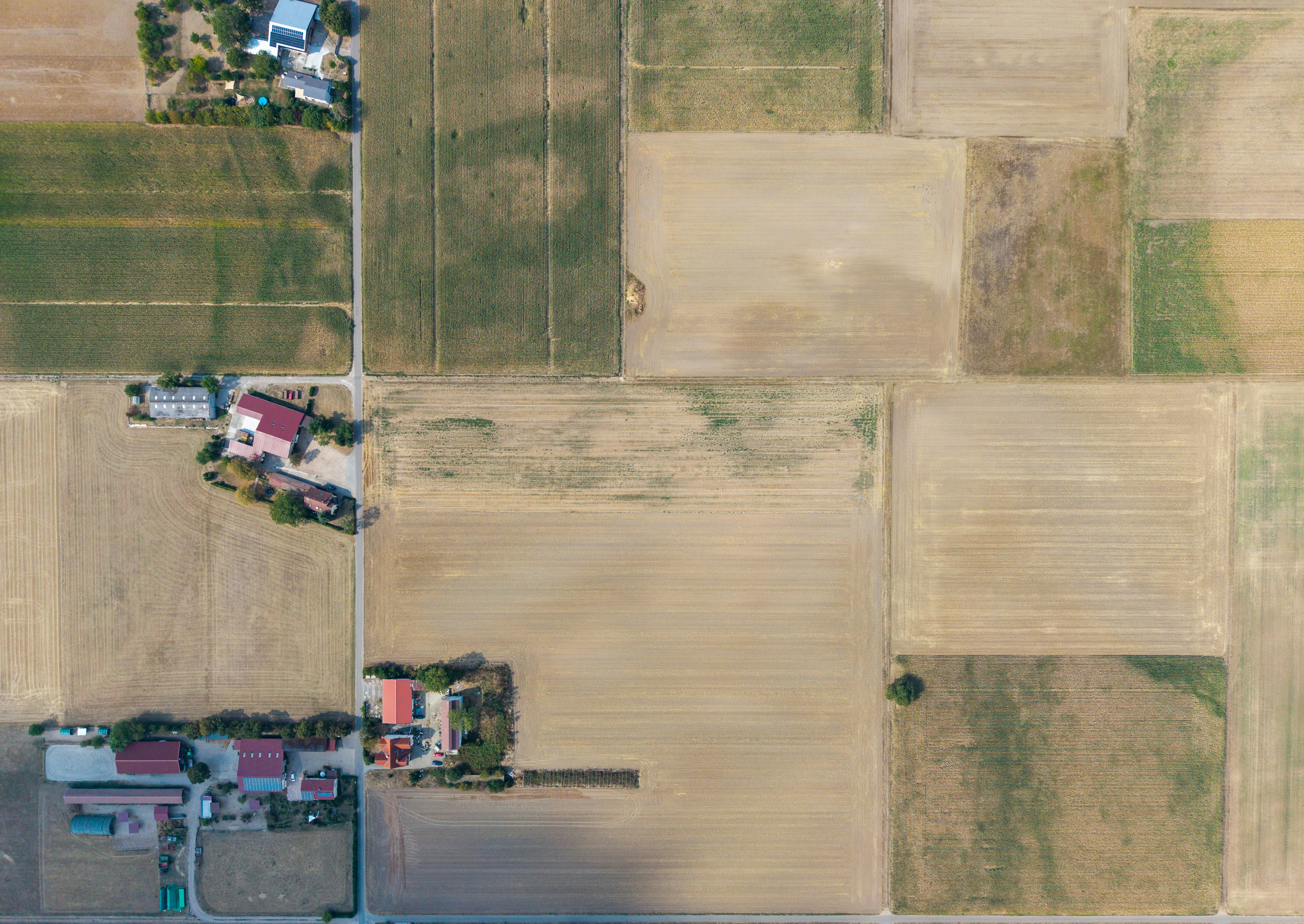 An aerial view of rectangular farm fields and small rural buildings along a road
