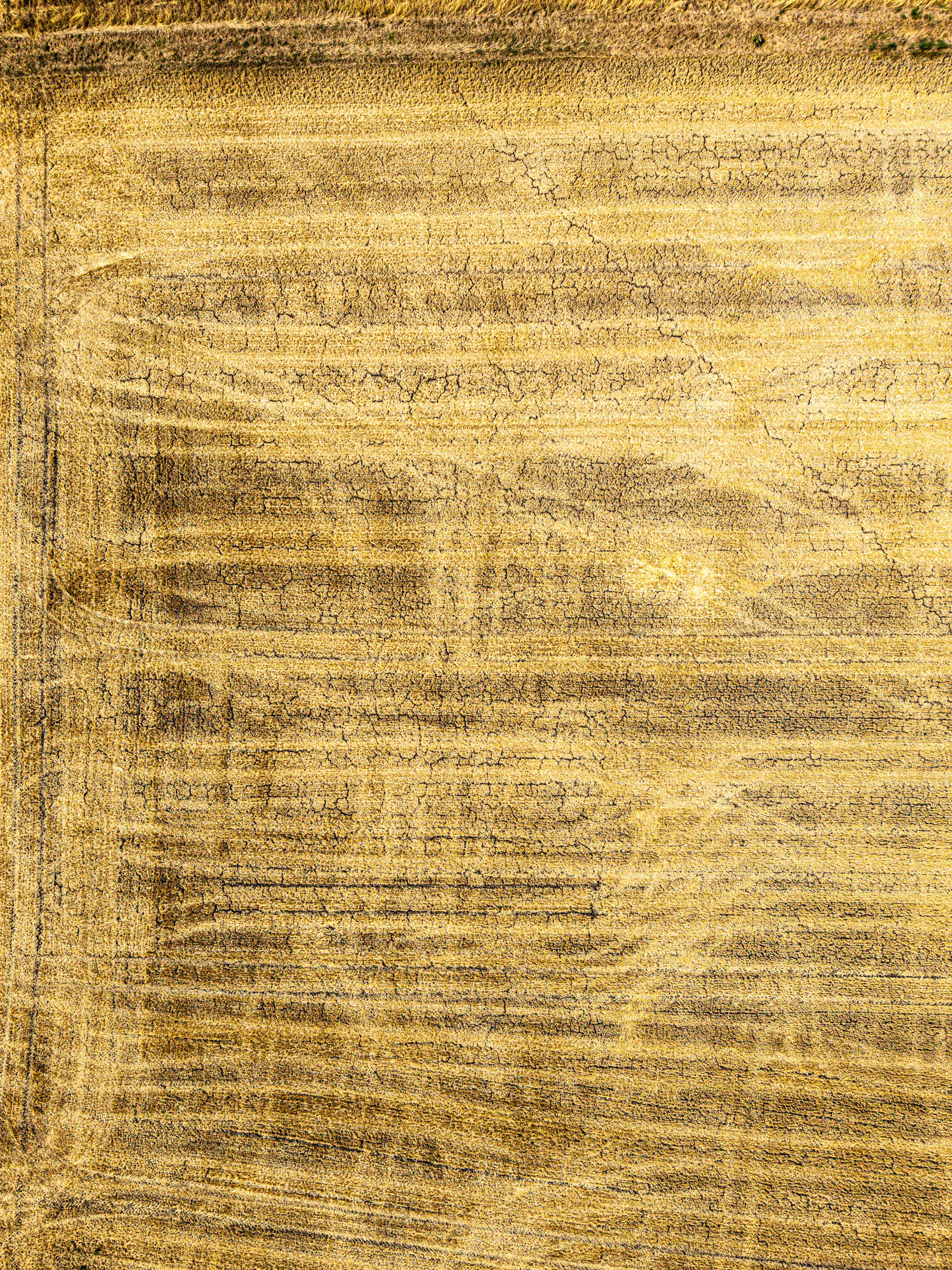 An aerial view of a dry golden wheat field with visible soil cracks