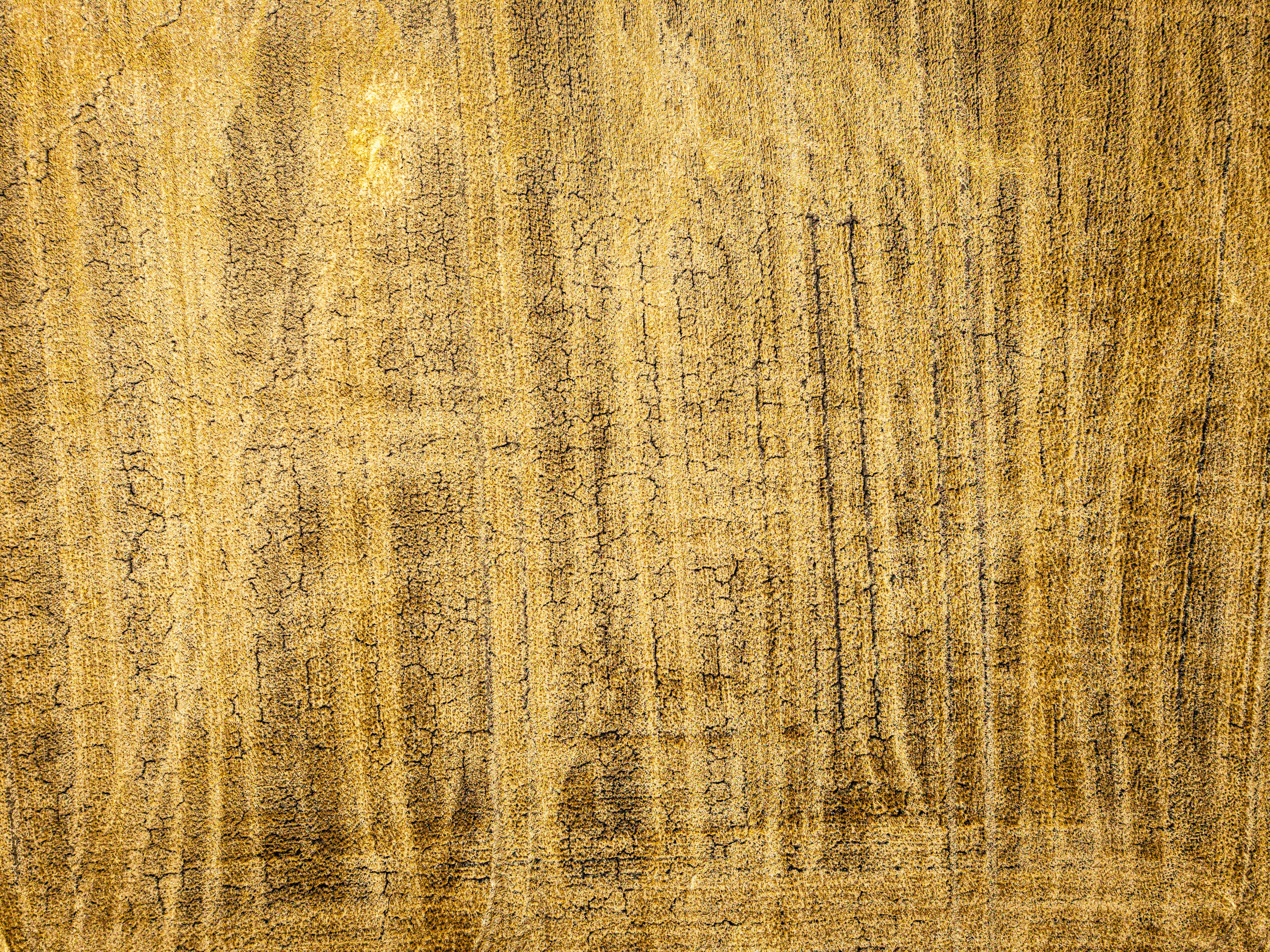 A textured golden surface with vertical streaks and fine cracks