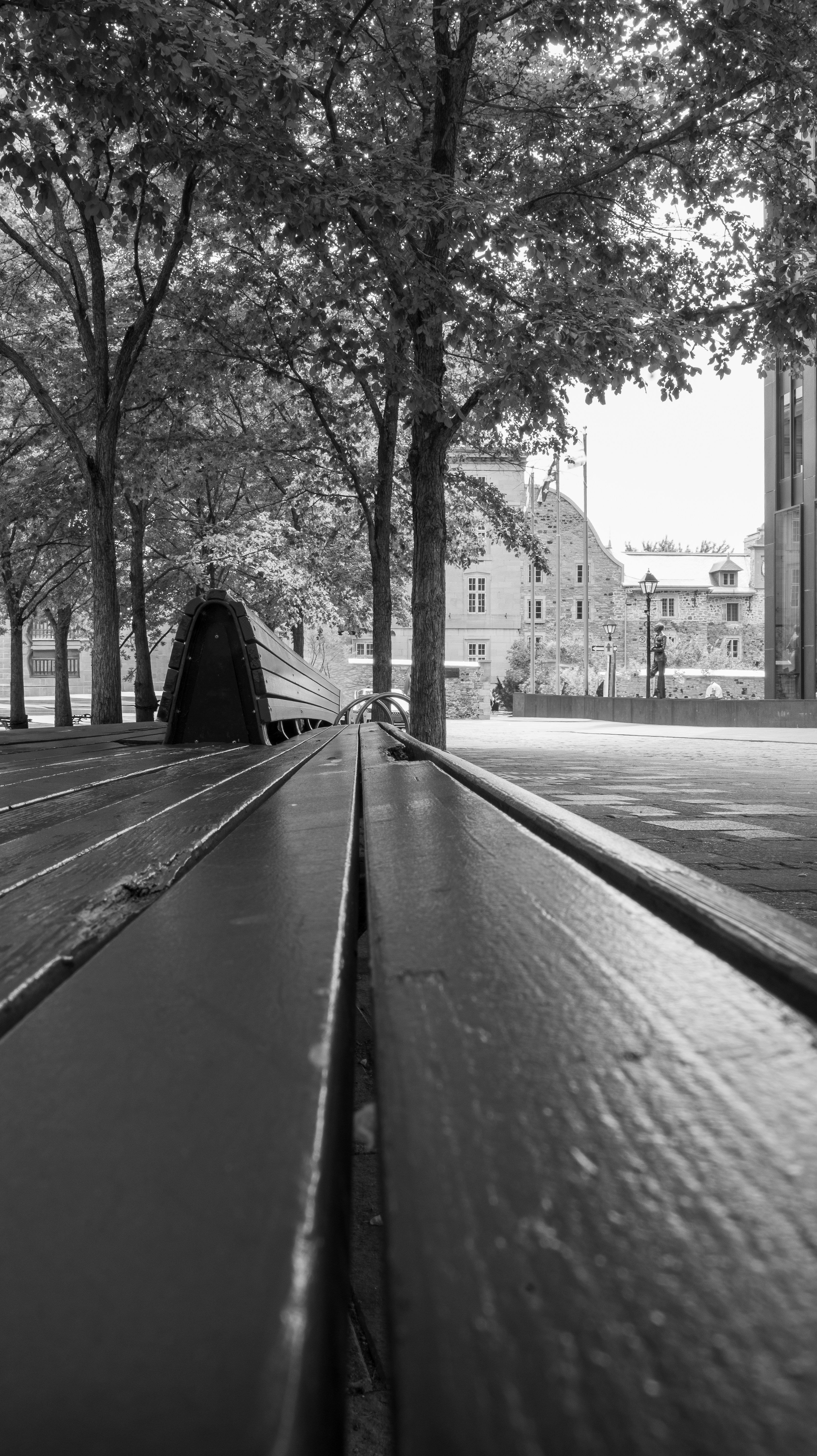 A wooden park bench in a tree-lined square with stone buildings in the background