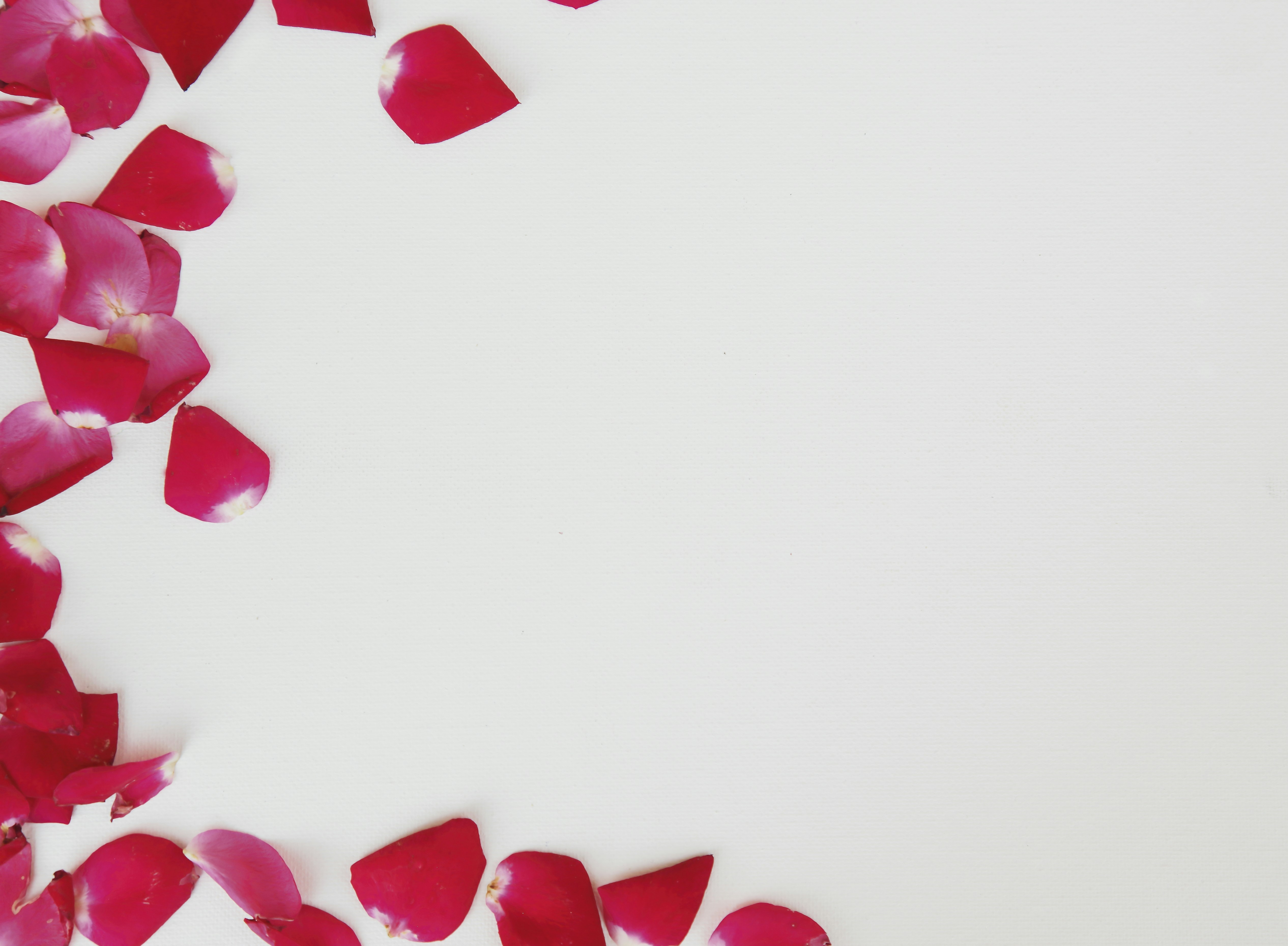 elegant wedding card wallpaper, wallpaper, What to Write in a 2nd Wedding Card: Etiquette & Messages 2