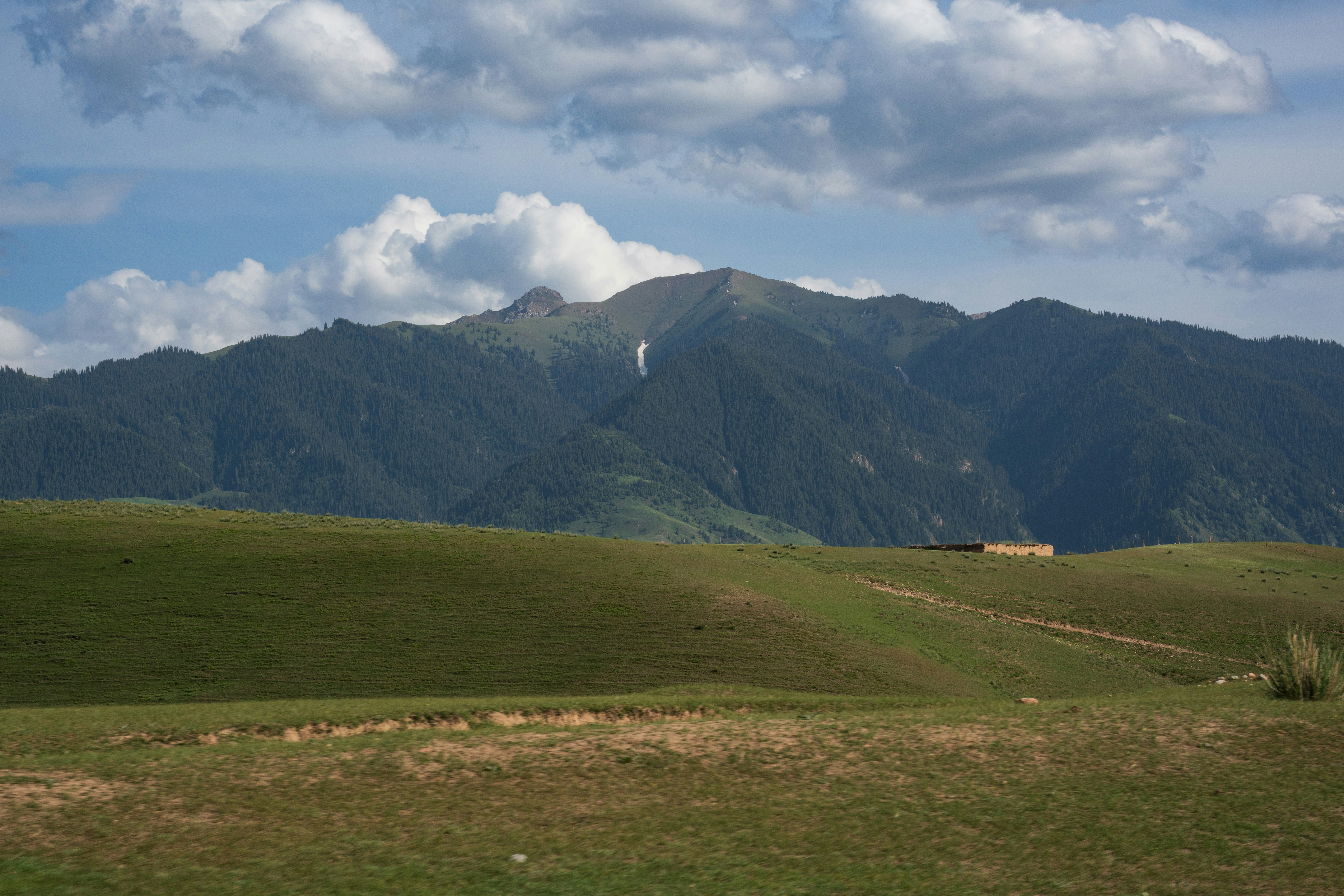 Green hillside and forested mountain range - Free Photo on Unsplash