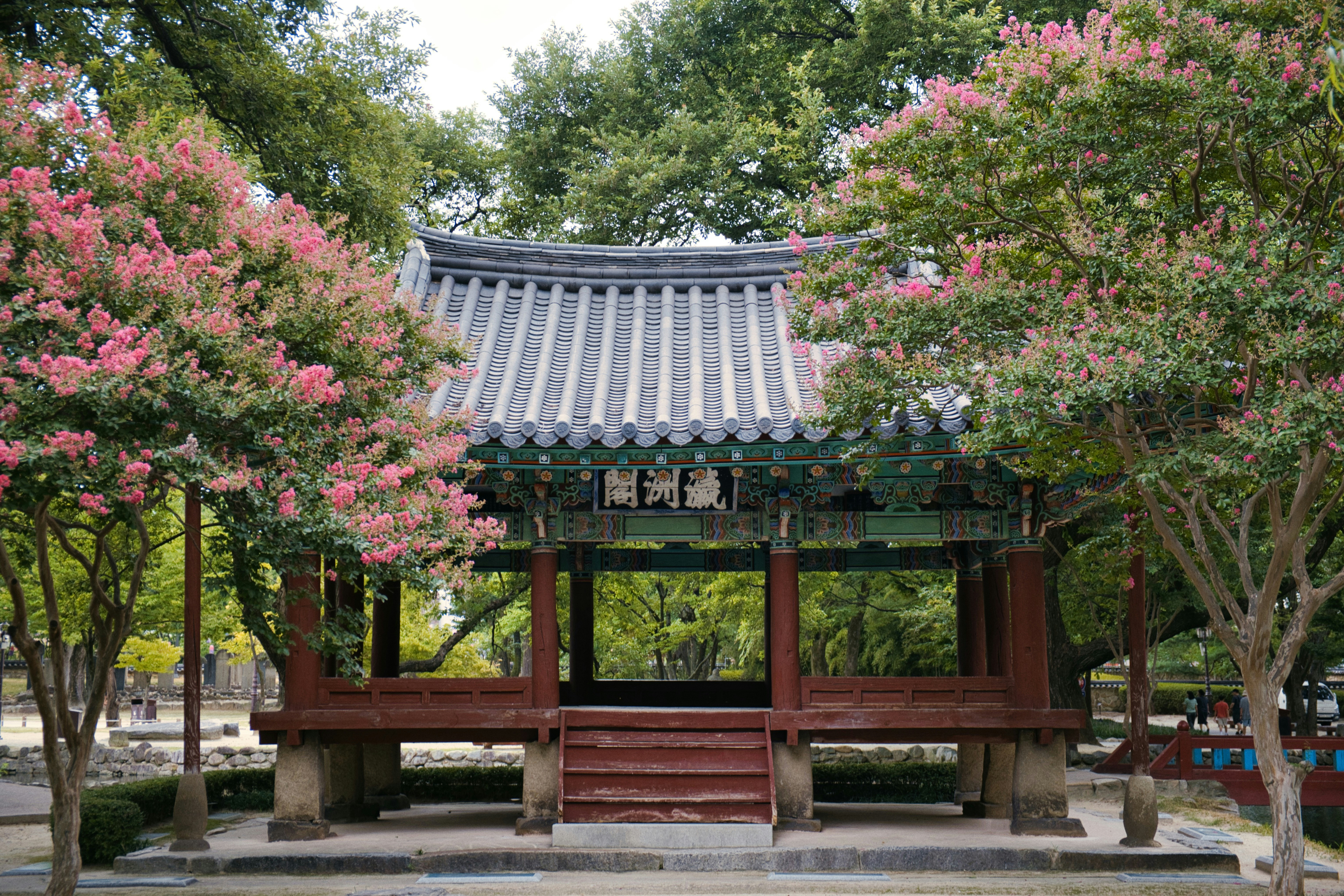 Paviliun tradisional Korea dengan atap genteng yang dikelilingi pohon crape myrtle merah muda yang berbunga