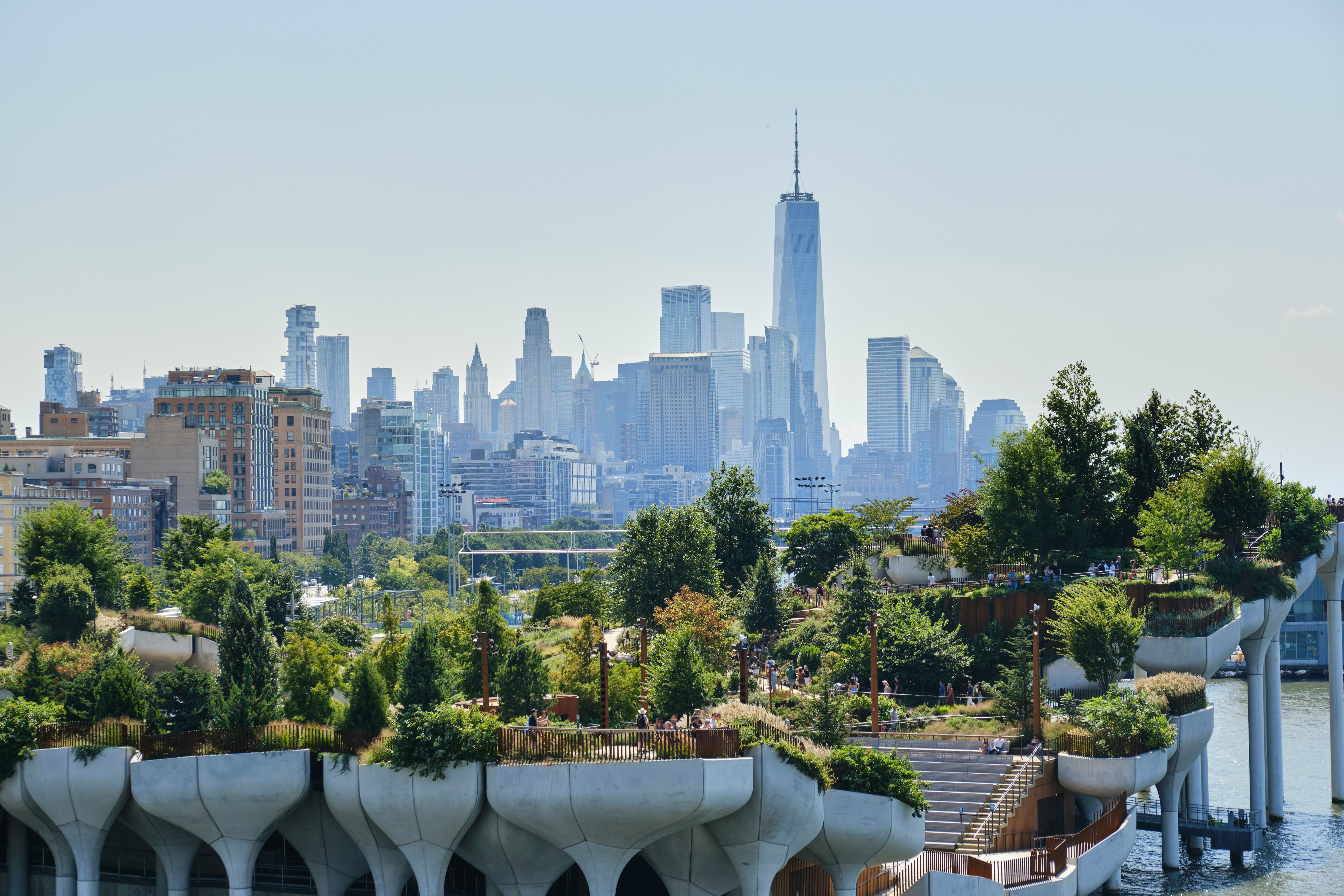 Sky-High and Homegrown: The New Yorkers Turning Rooftops Into the City's Most Alive Spaces