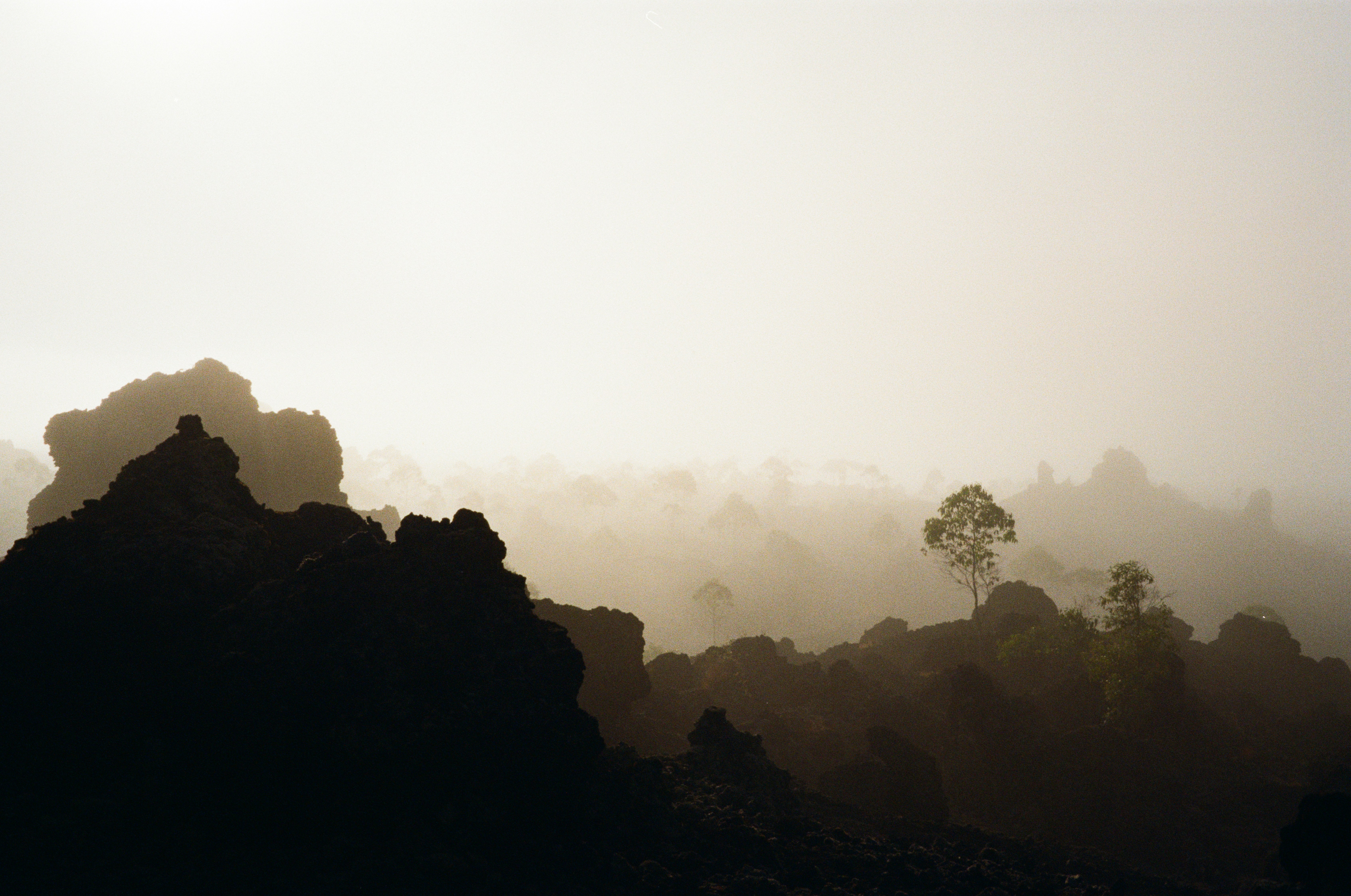 Dark volcanic rock formations in a misty landscape with sparse trees