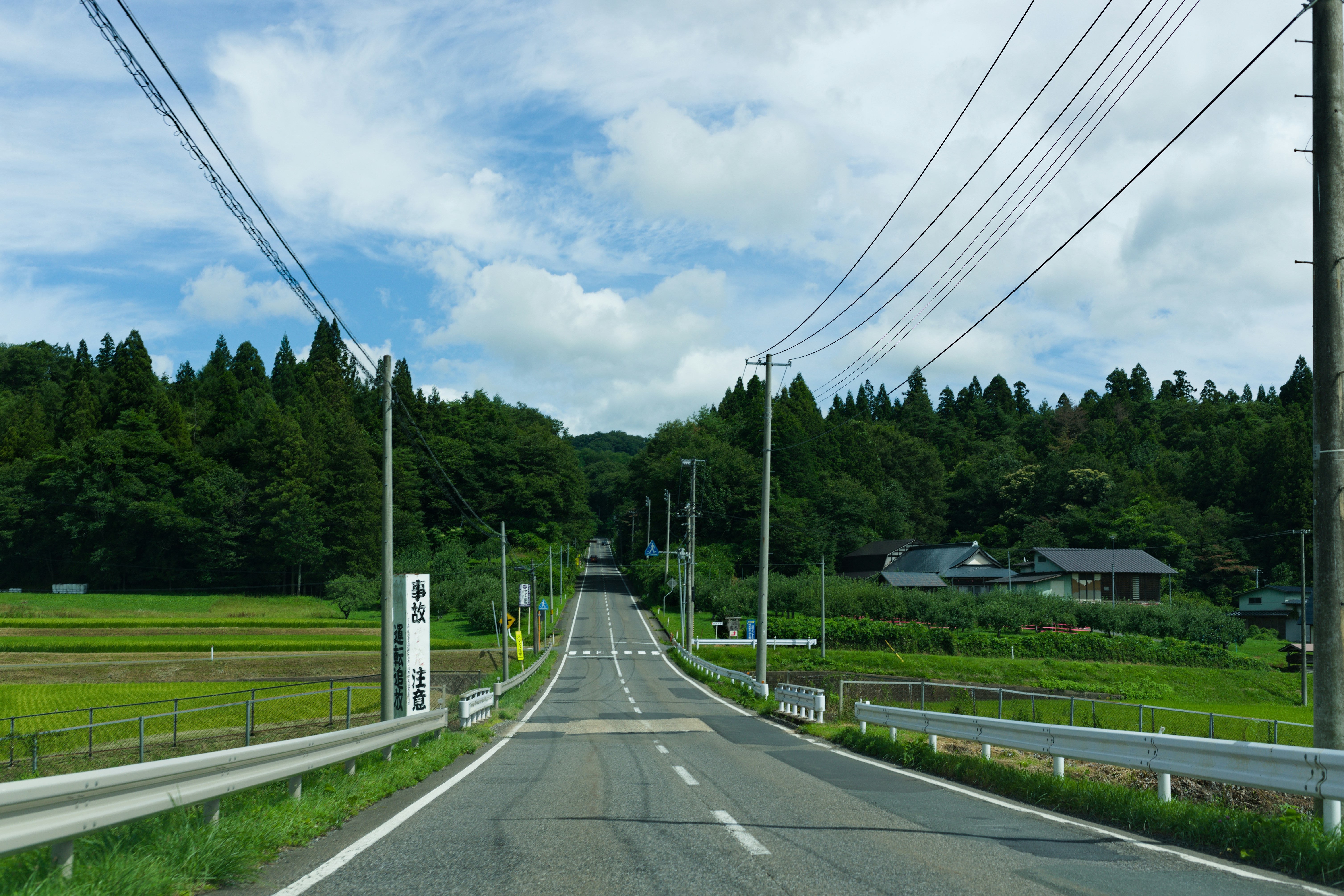 A paved road through a rural landscape with green fields and dense forest