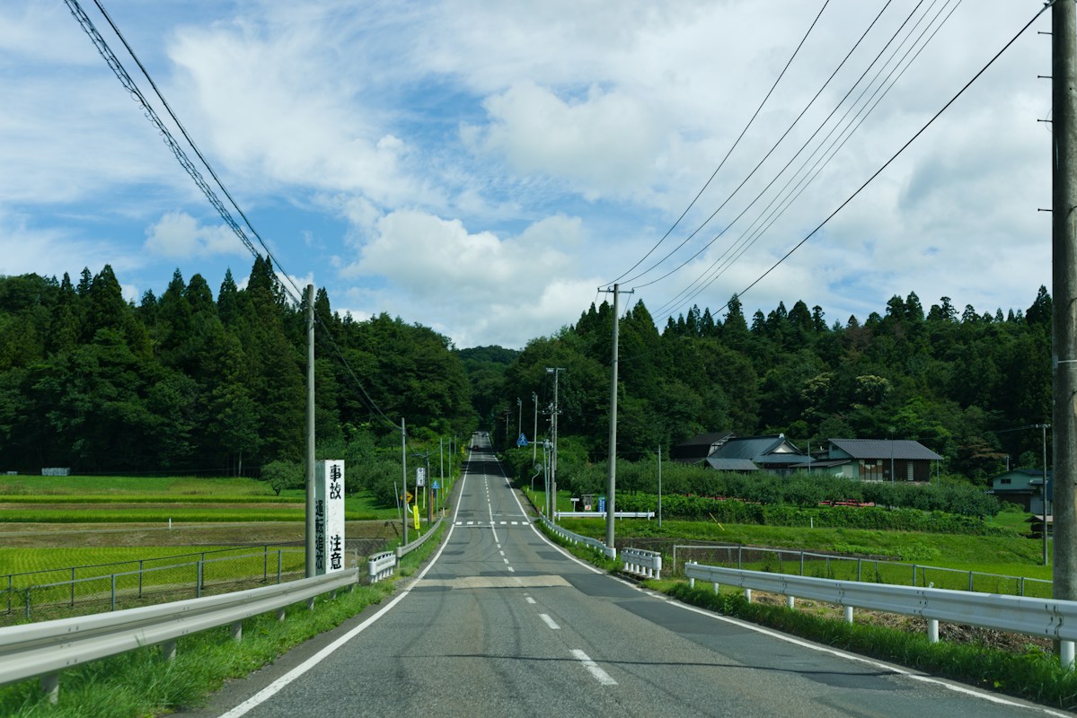 鄉間柏油道路兩側是綠色田野與樹林，天空晴朗