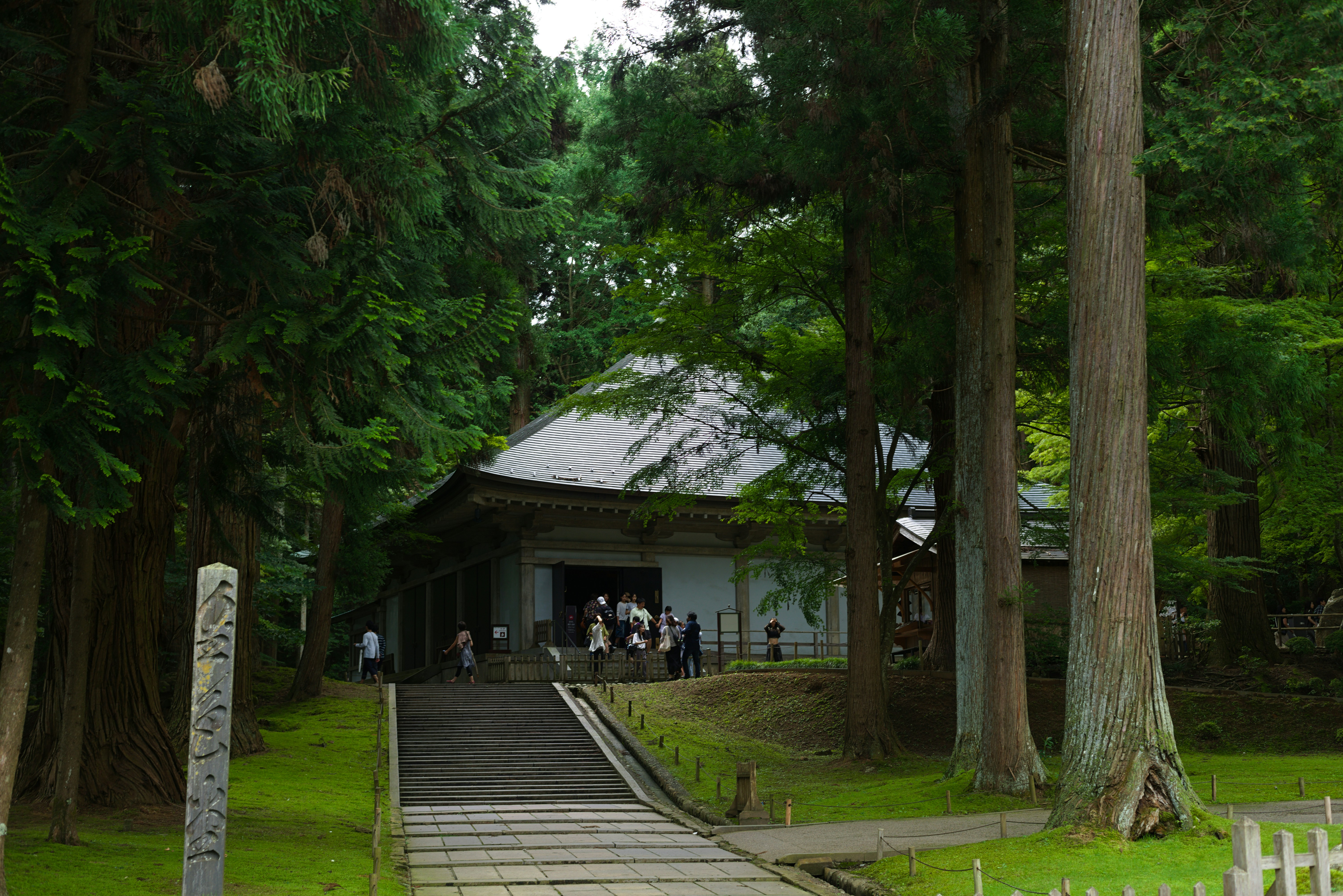 People walking up stone stairs toward a temple building surrounded by tall cedar trees