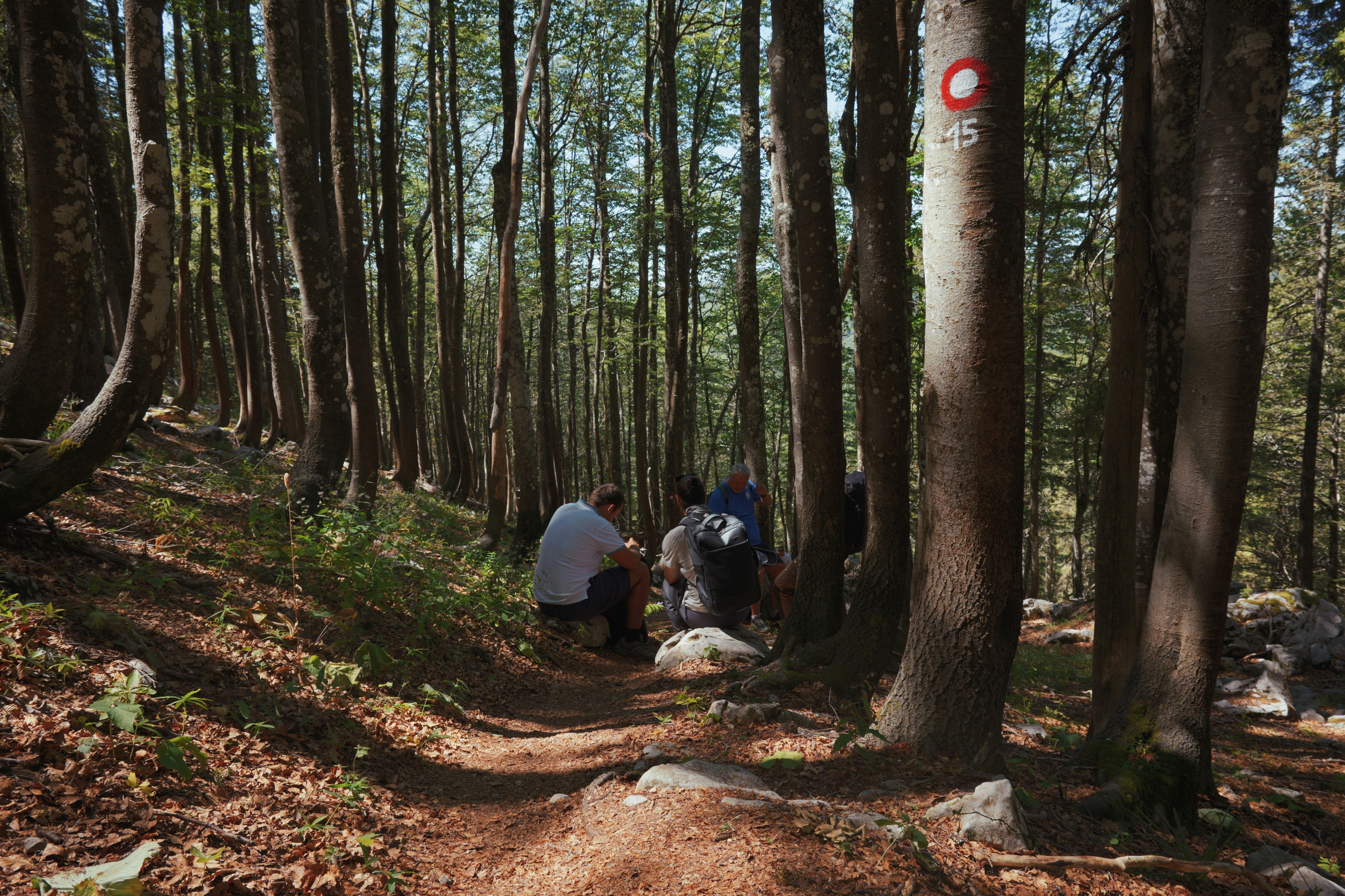 Three people resting on rocks along a forest trail marked with a red circle