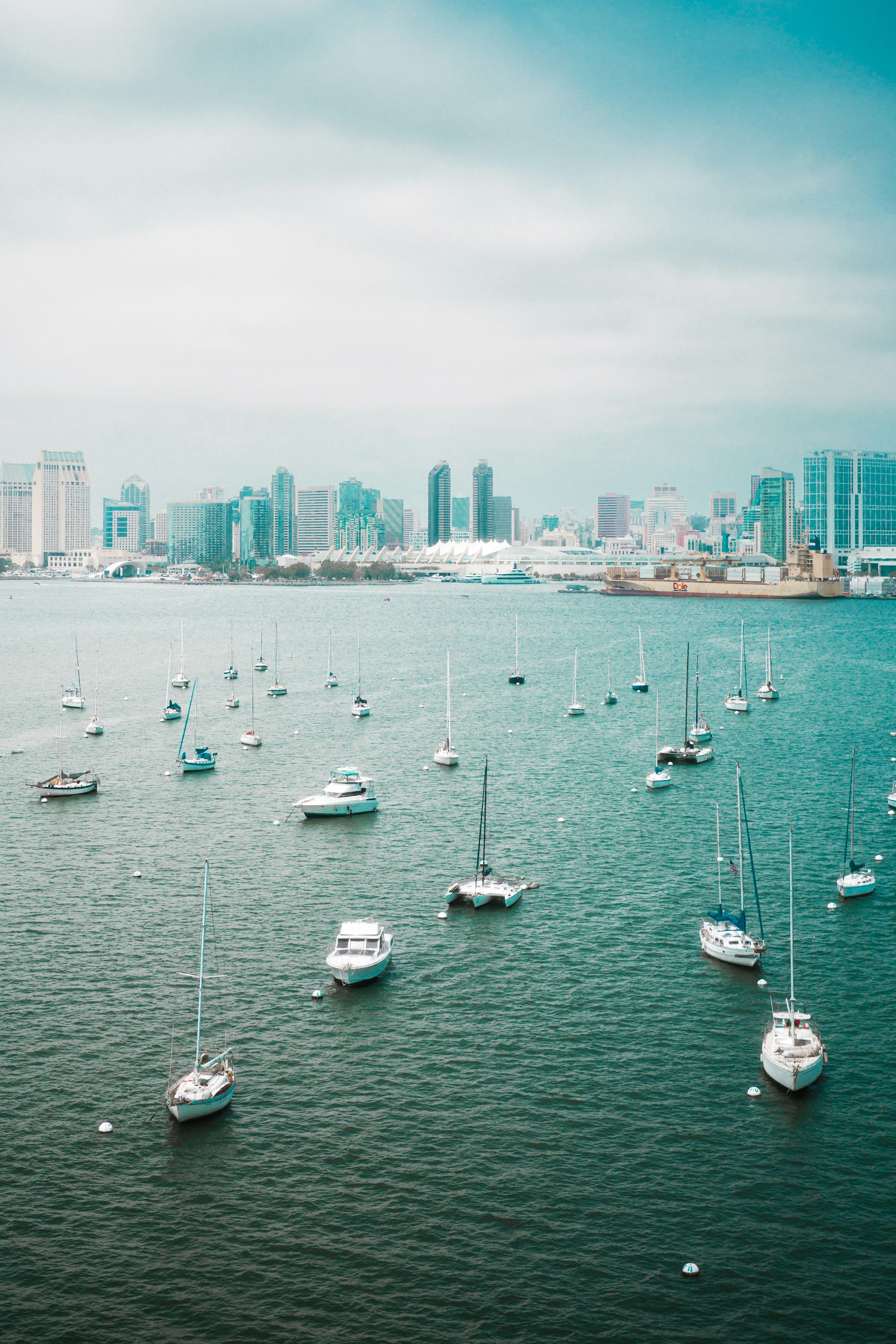 Many sailboats anchored in the bay before the San Diego city skyline