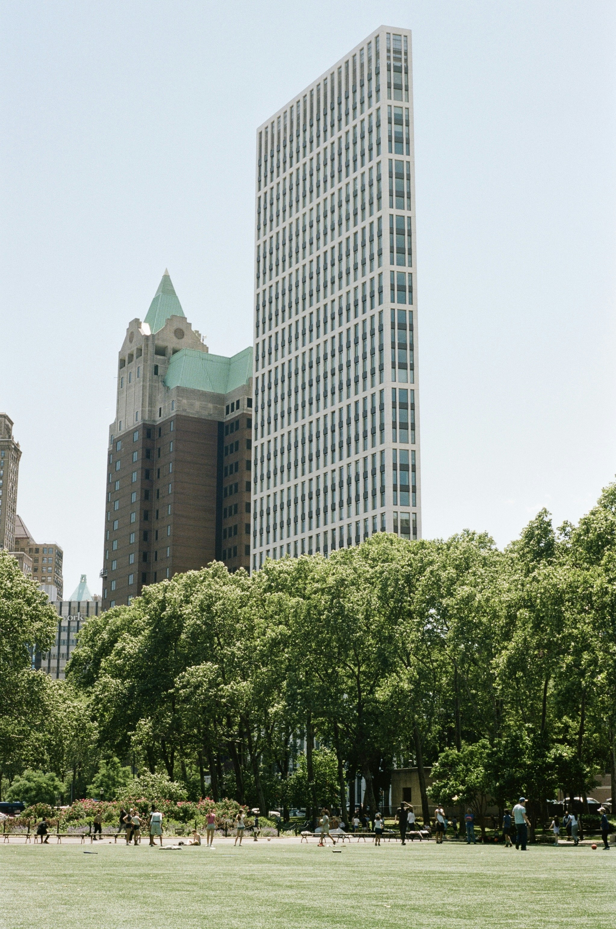 People on a green lawn in front of tall city buildings and trees