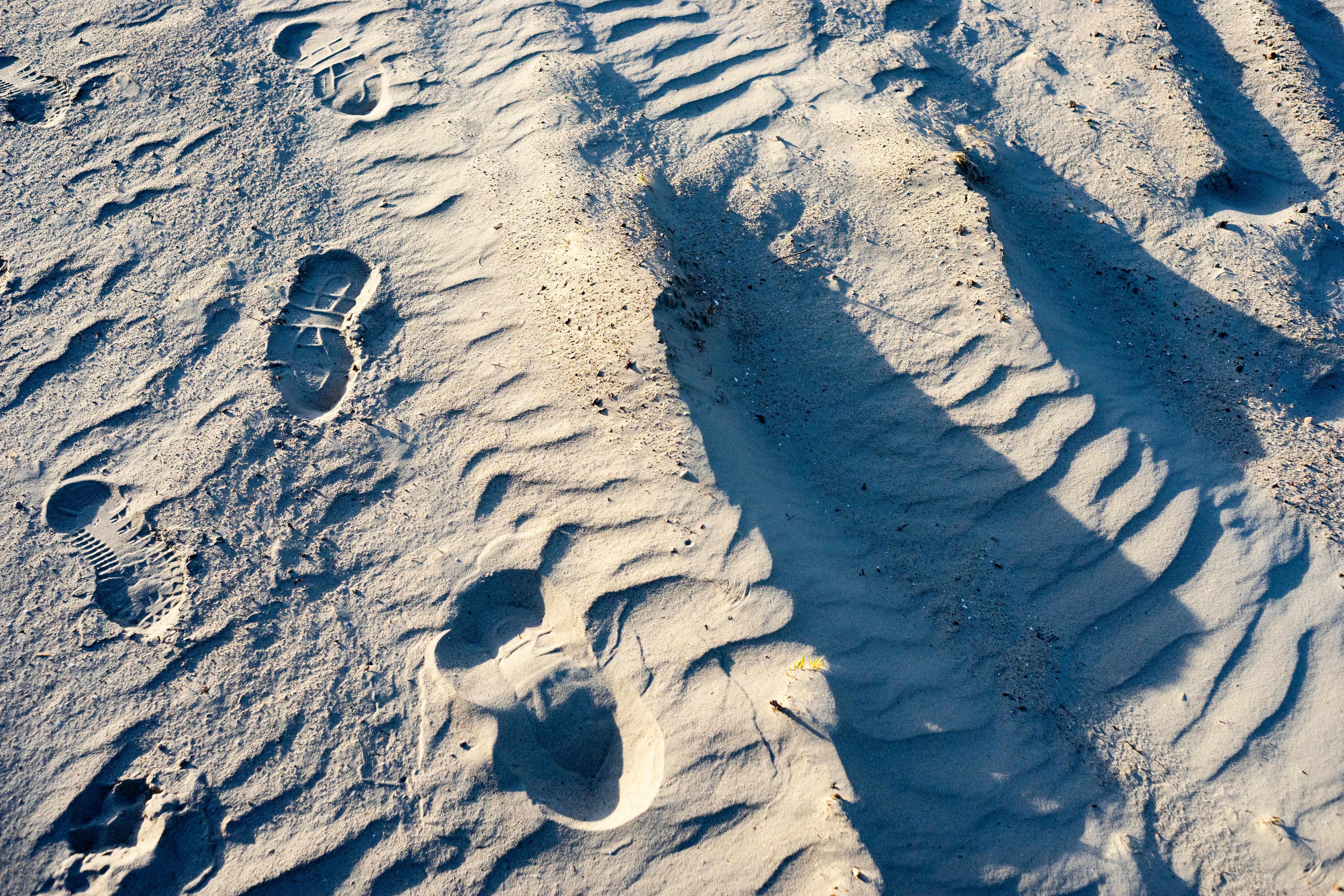 Footprints and tire tracks in light sand under low angled sunlight