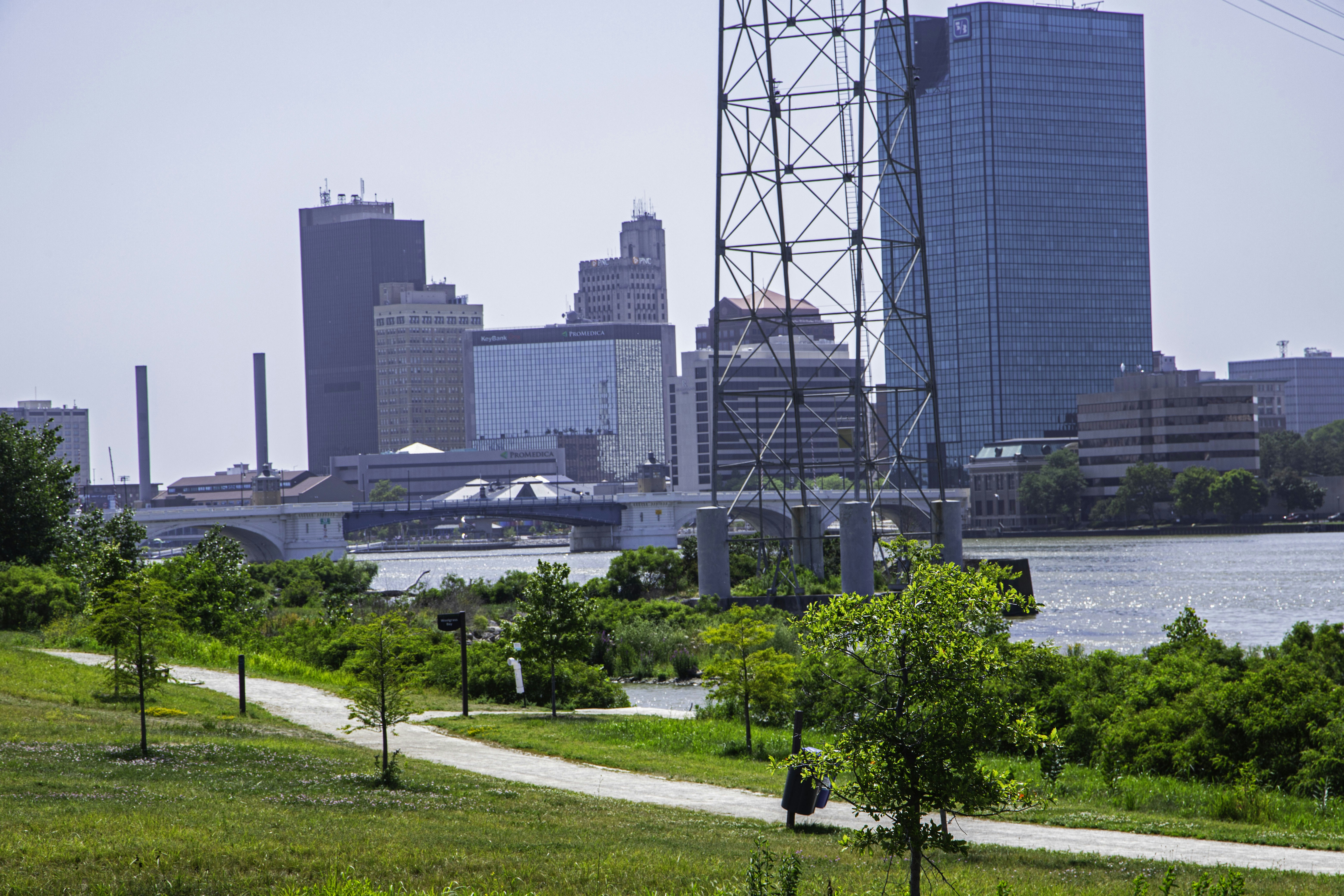 A city skyline with a bridge and river viewed from a grassy park