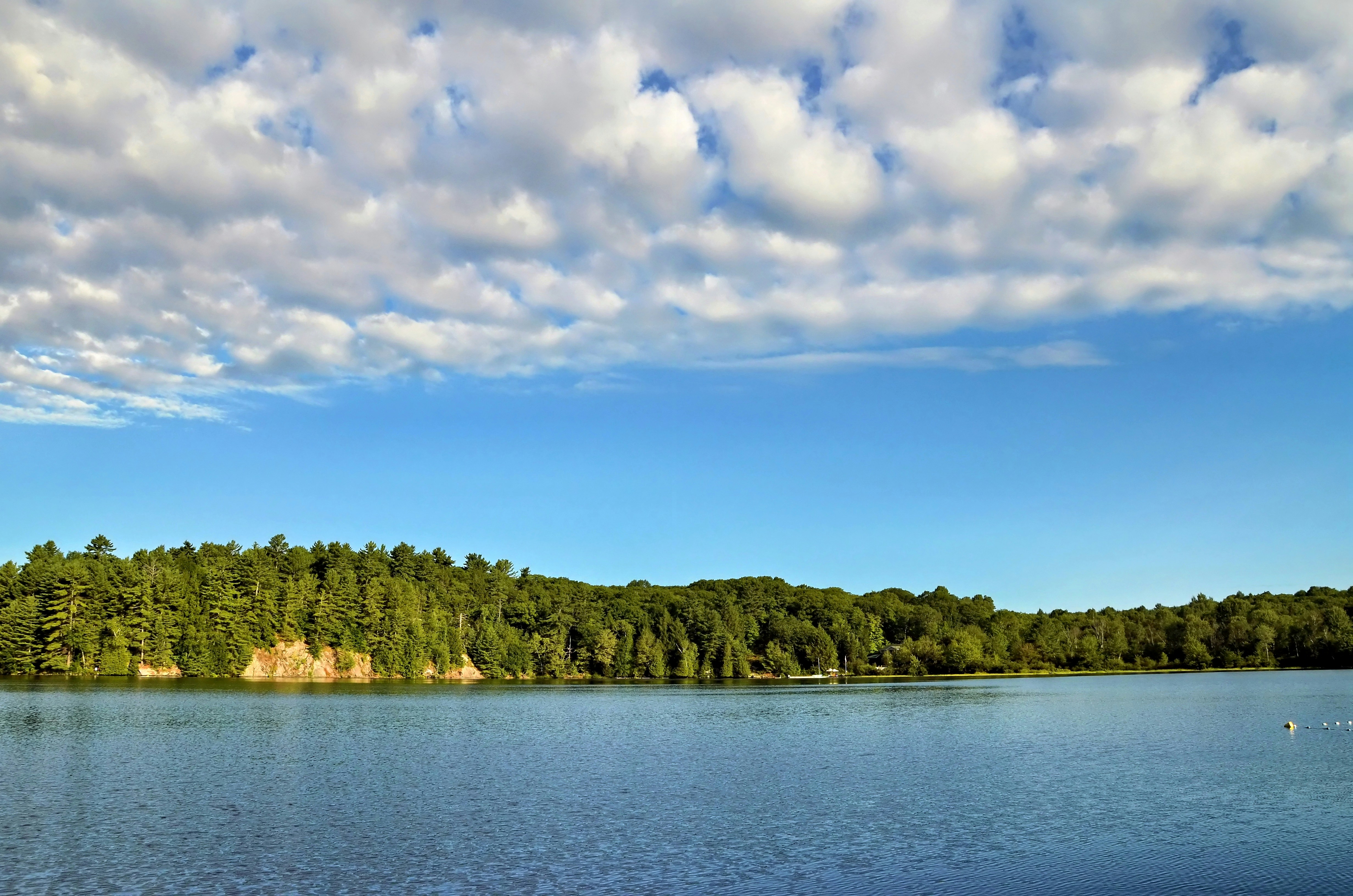 A calm lake reflecting a blue sky with scattered white clouds above forest