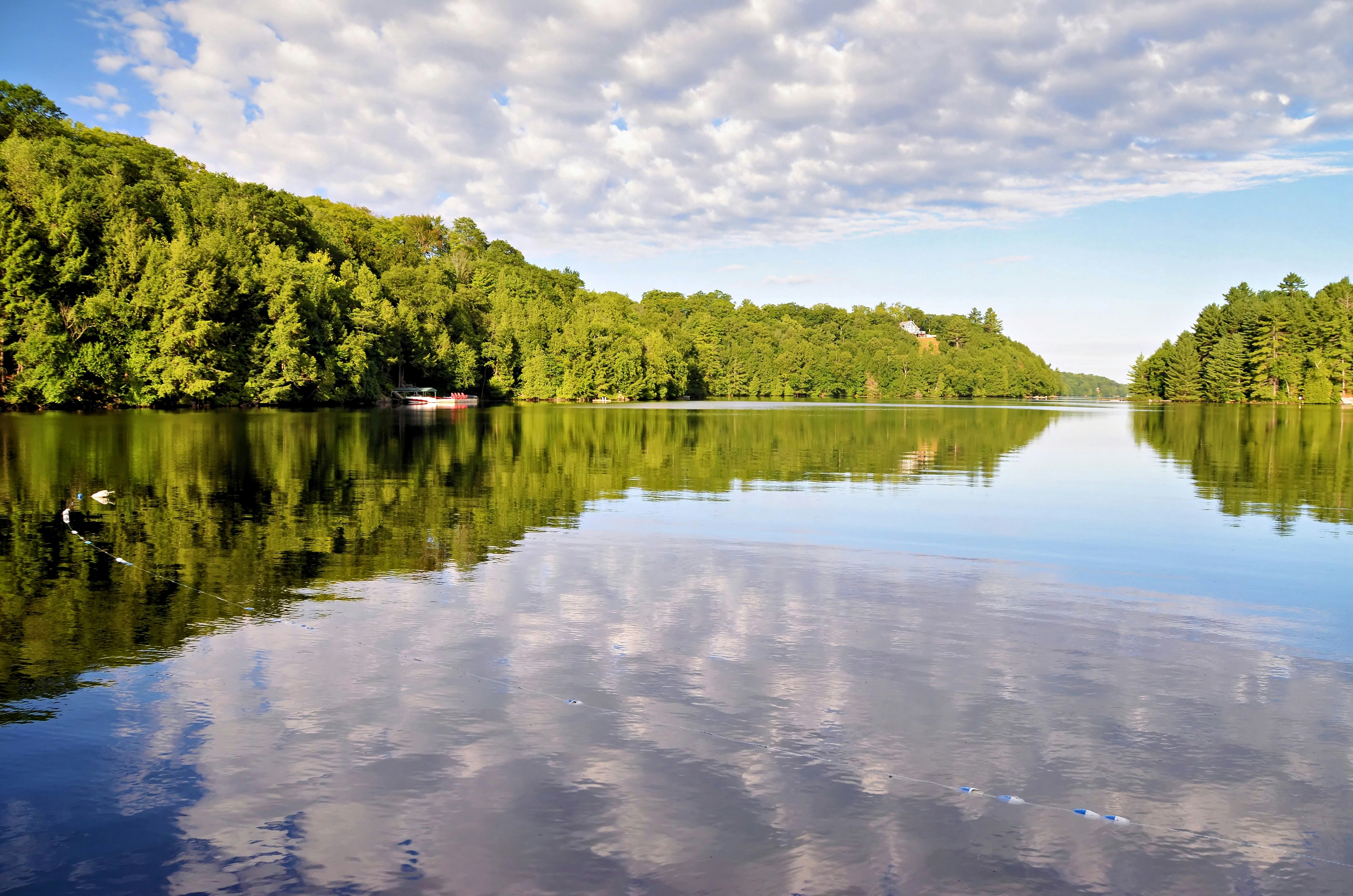 A calm lake reflecting a blue sky with clouds between dense green forests