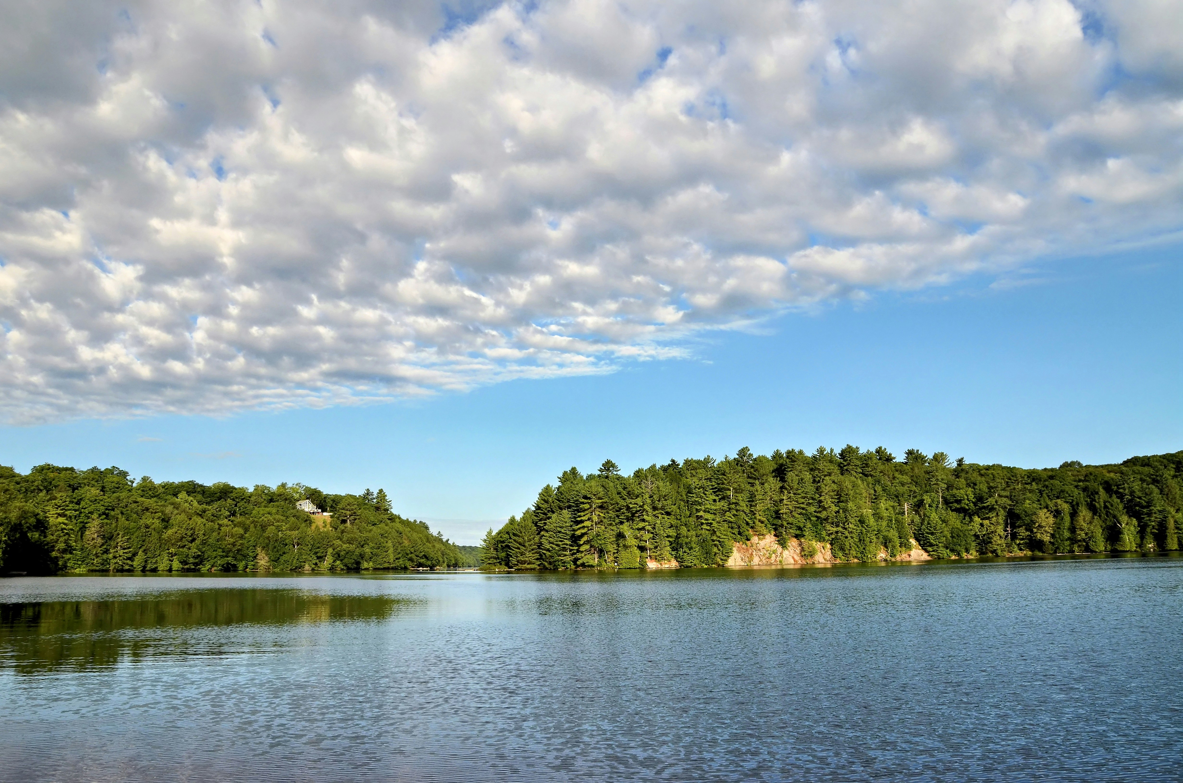 A calm lake surrounded by dense green forest under a sky with scattered clouds