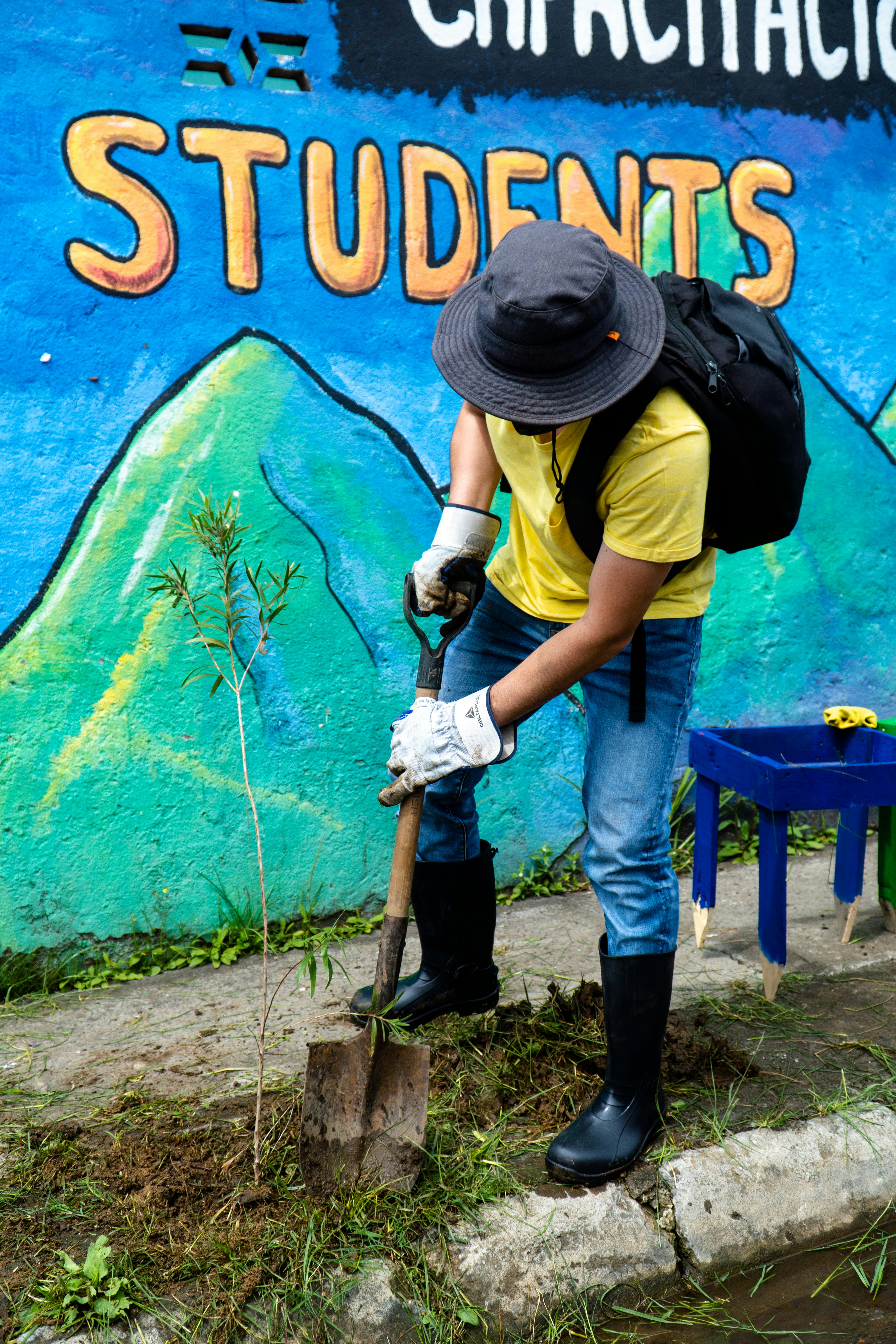 Volunteer Service Day Participation
