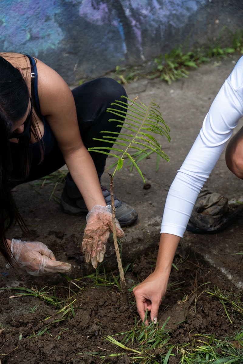 Technicien / Technicienne de travaux de gestion de milieu naturel