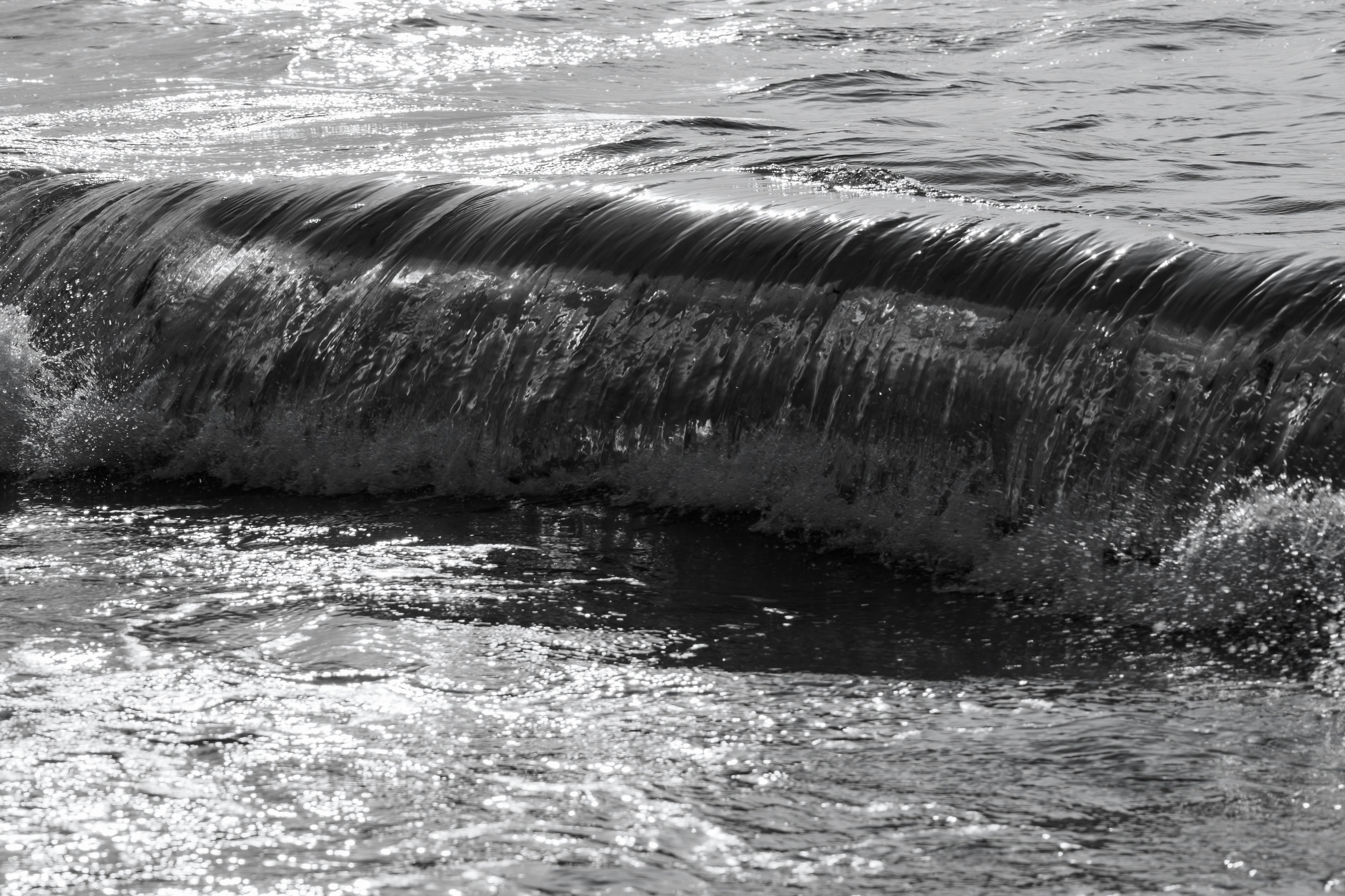 A black and white wave cresting over shallow water with sunlight reflections