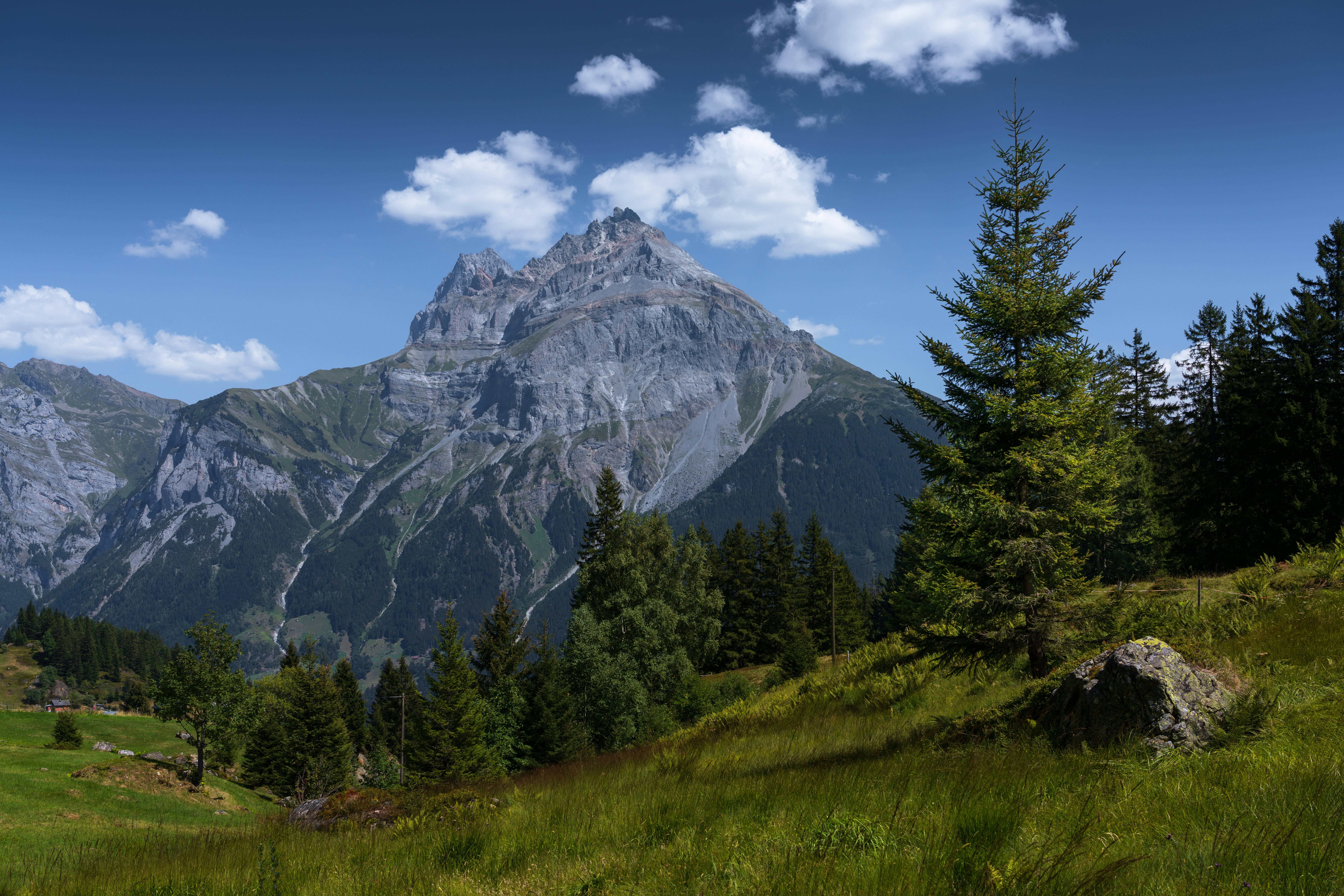 A rocky mountain peak rising above a green meadow with pine trees
