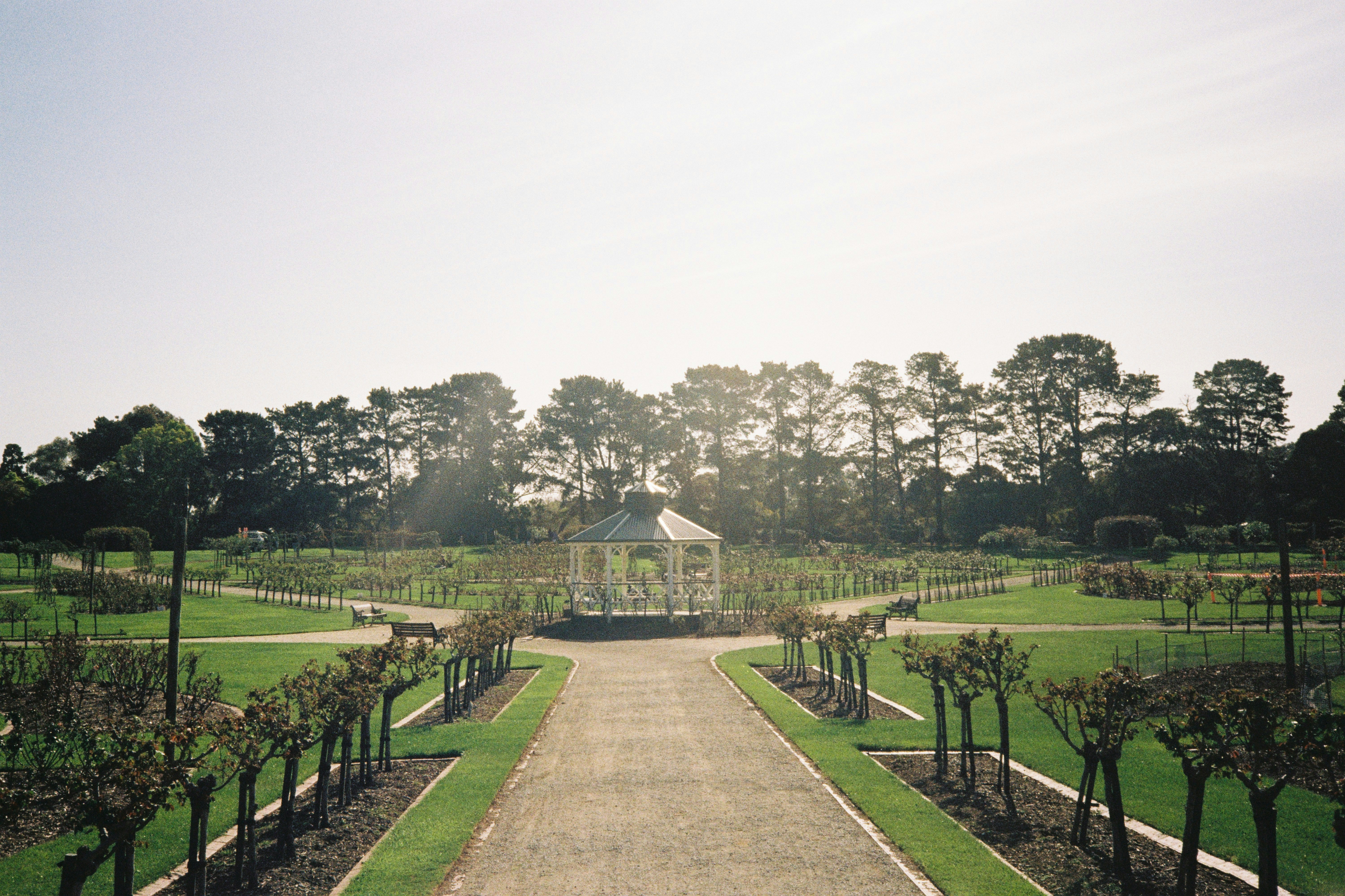White gazebo in a manicured garden